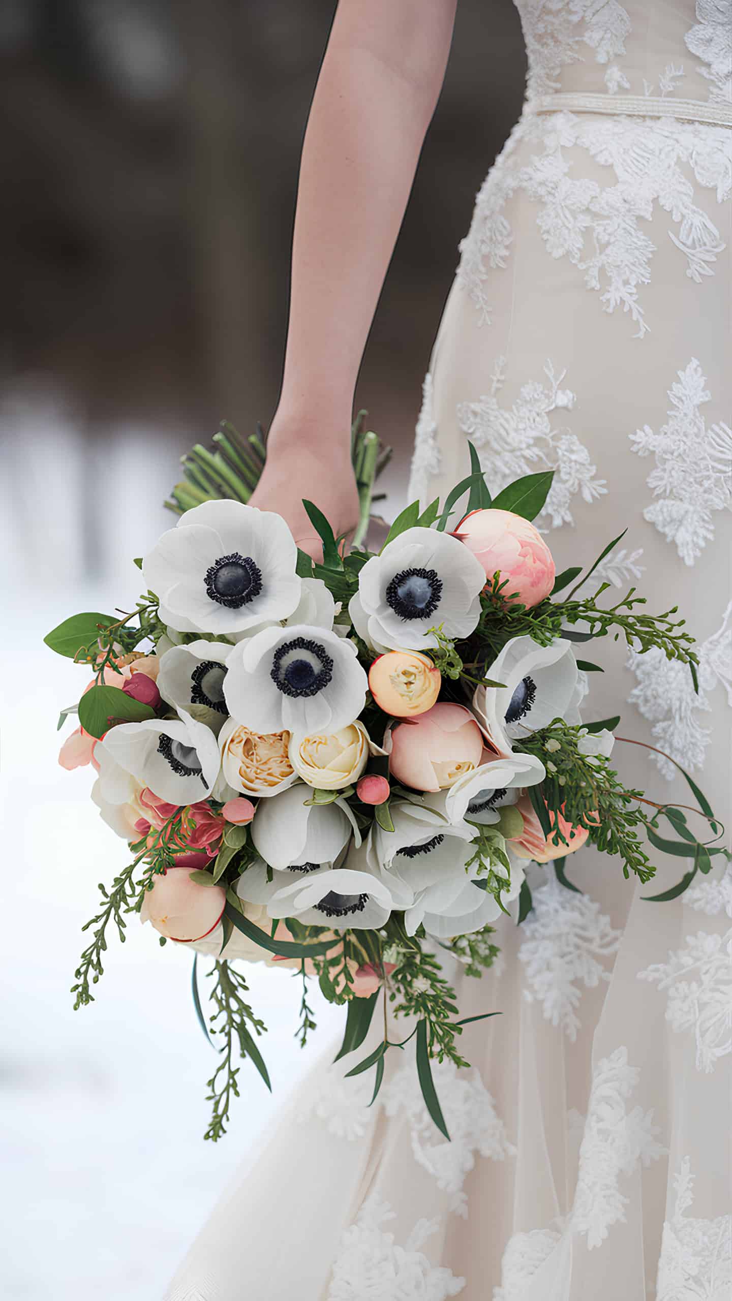 Anemone Affair