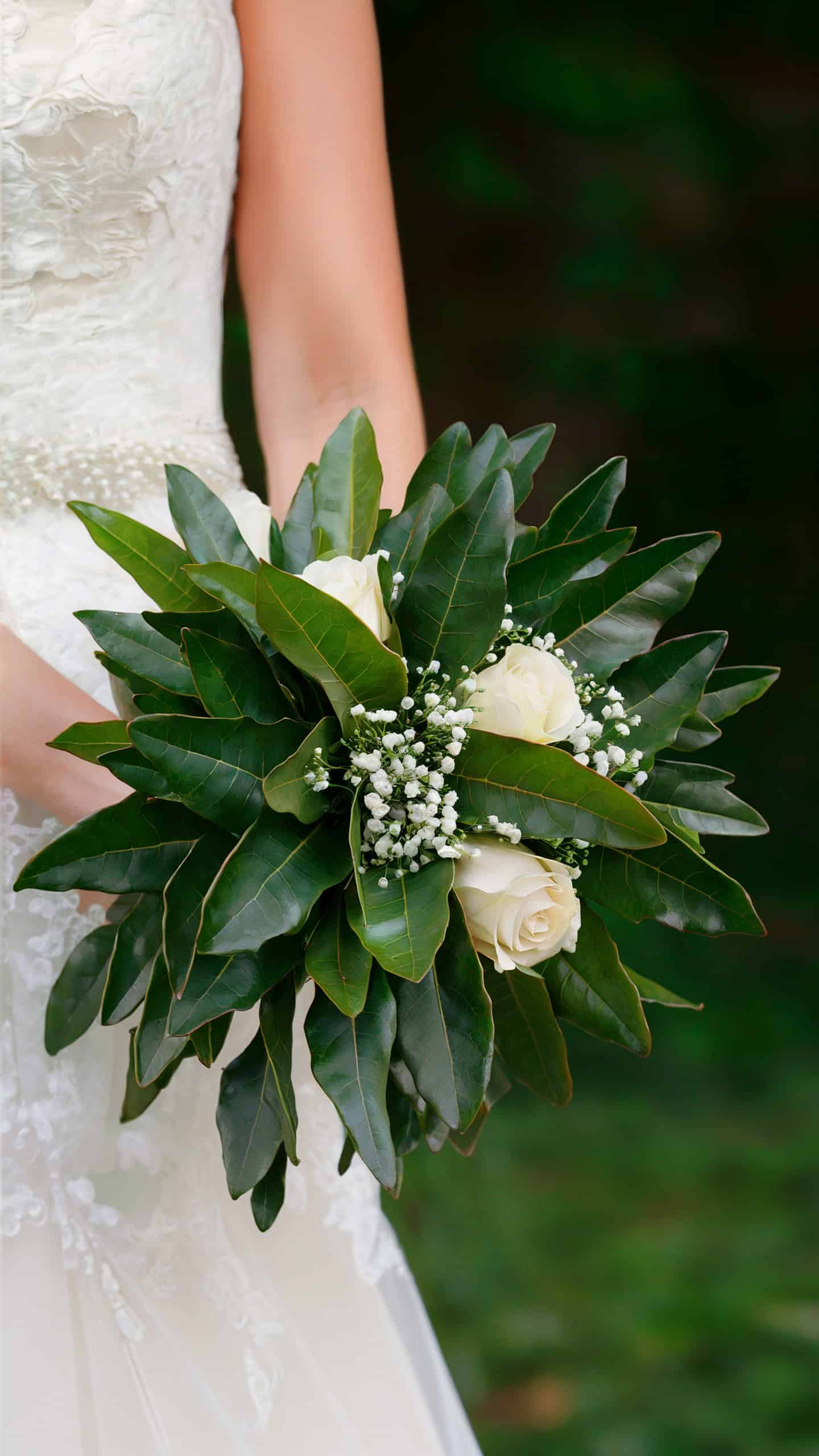 Bay Leaves