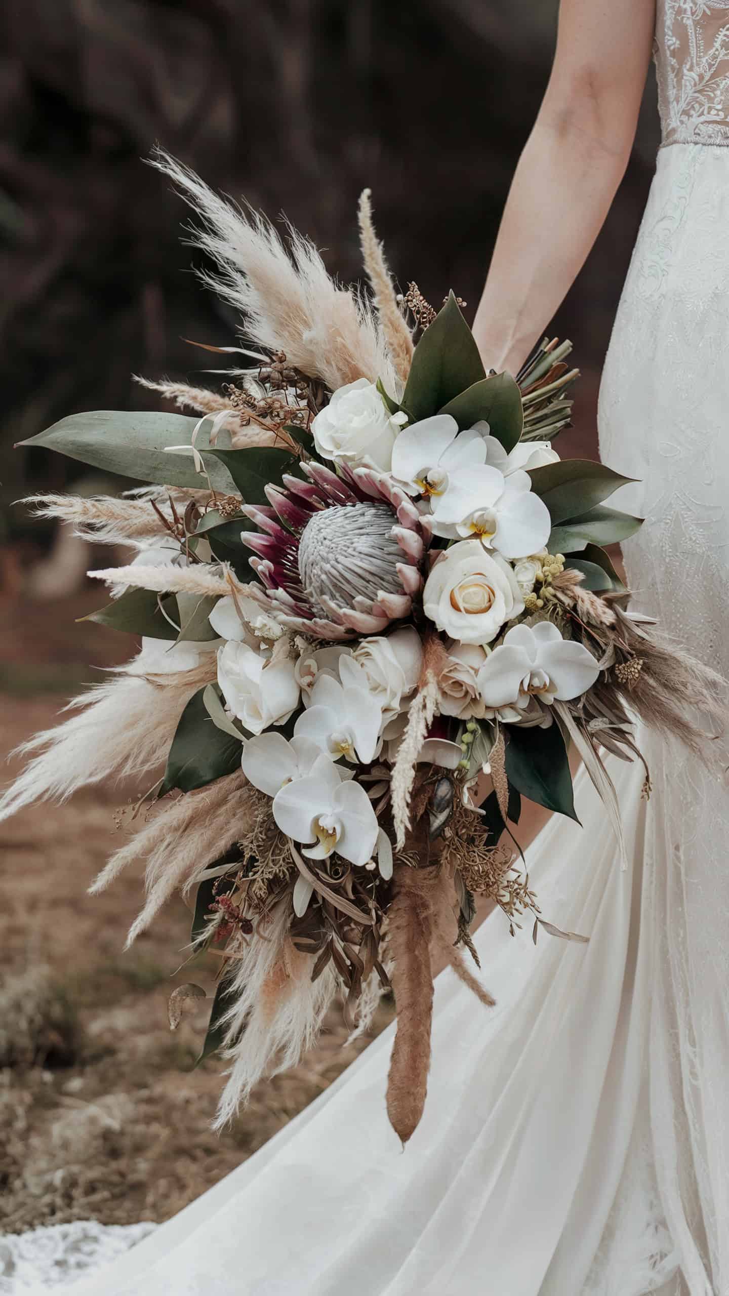 Boho Dream