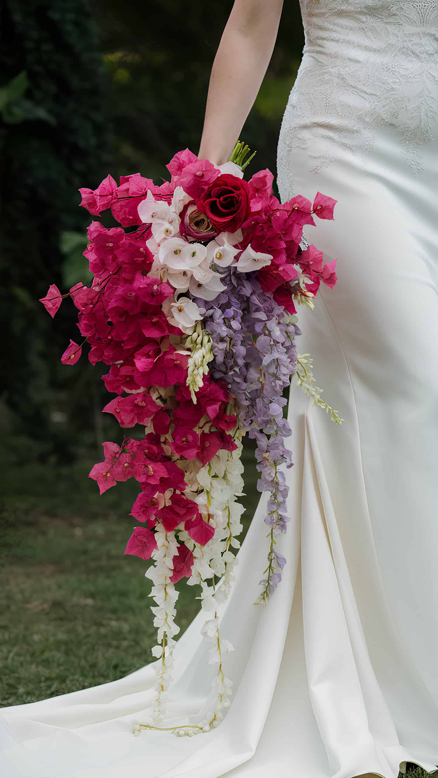 Bougainvillea and Wisteria Cascade