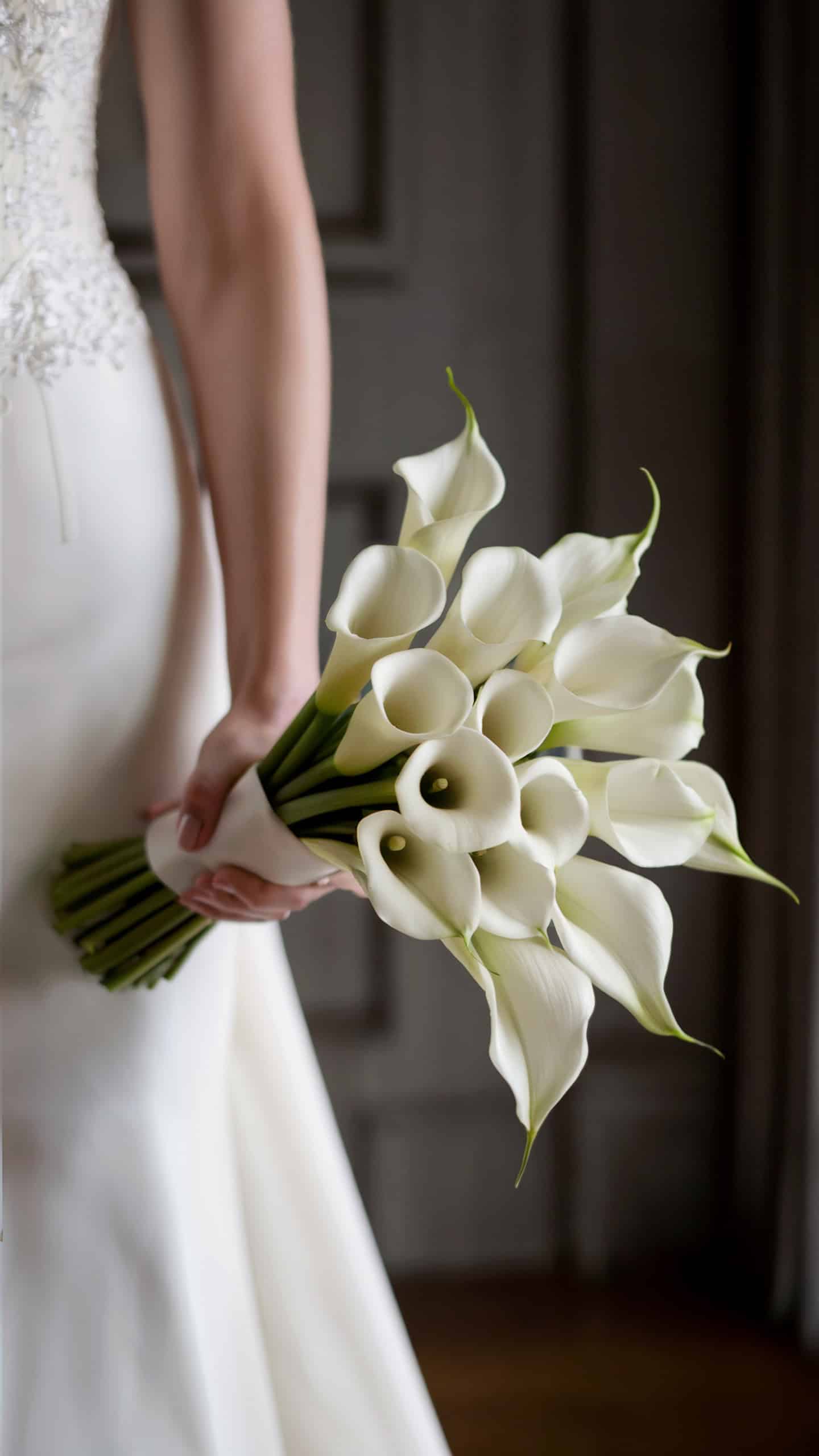 Classic Calla Lilies