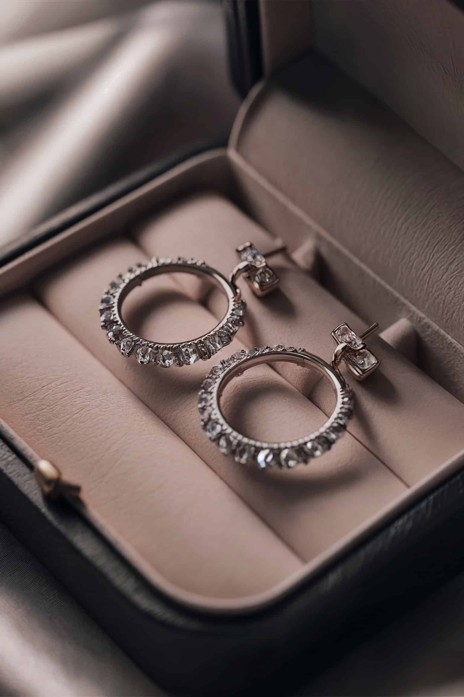 Double Hoop Earrings with Crystals