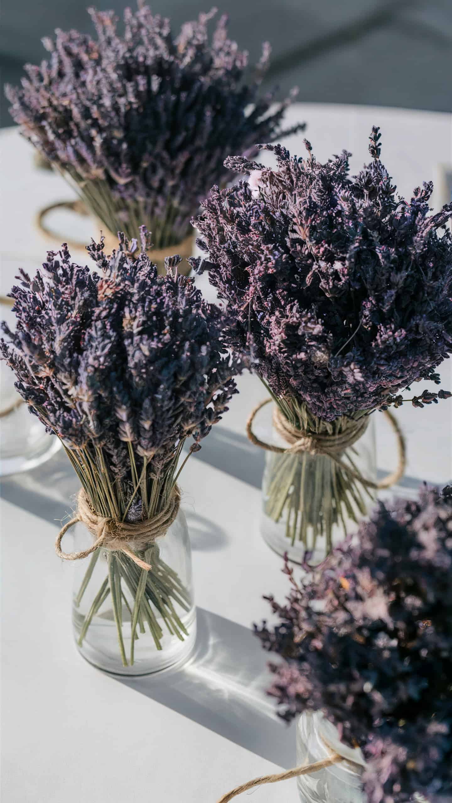 Dried Lavender Bunches