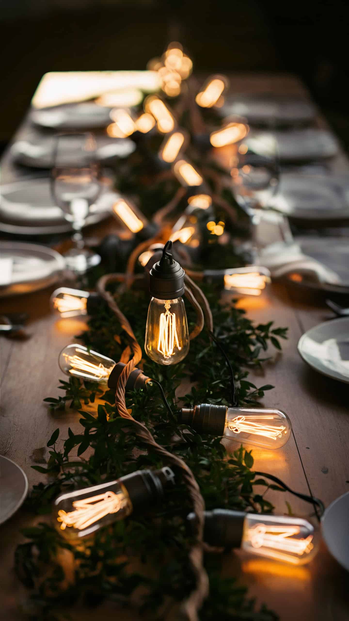 Edison Bulb String Lights