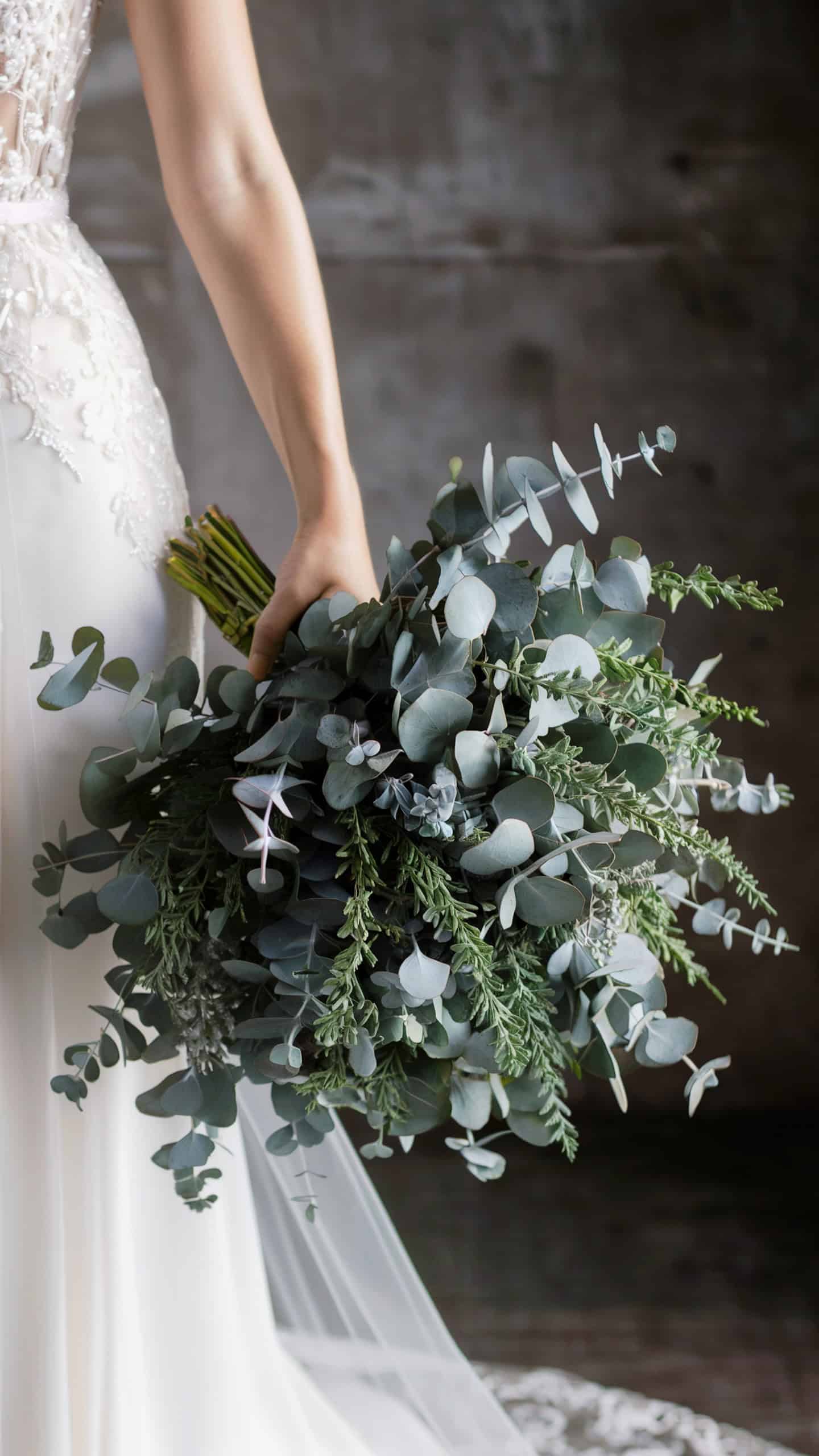 Eucalyptus Sprigs