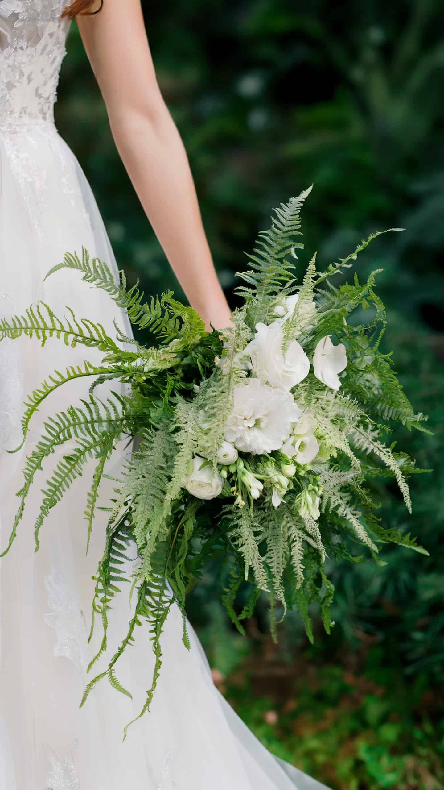 Feathery Asparagus Fern