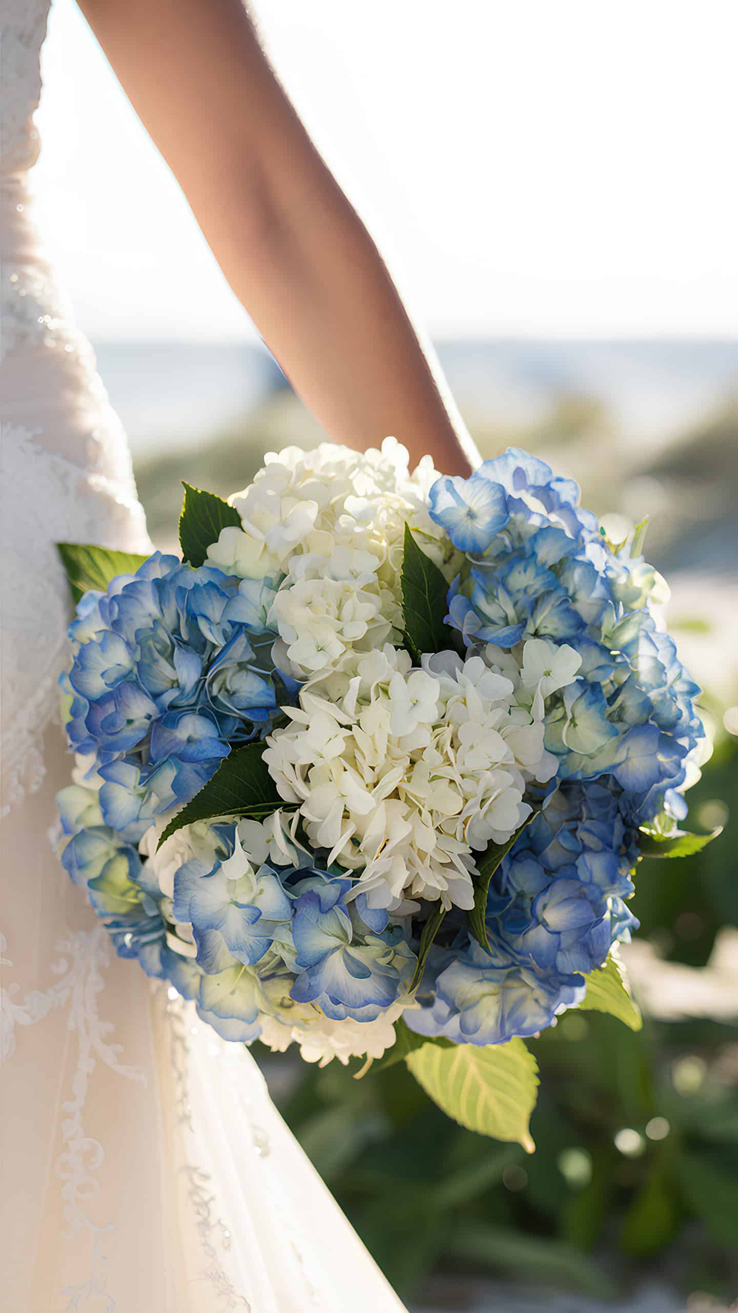 Hydrangea Harmony