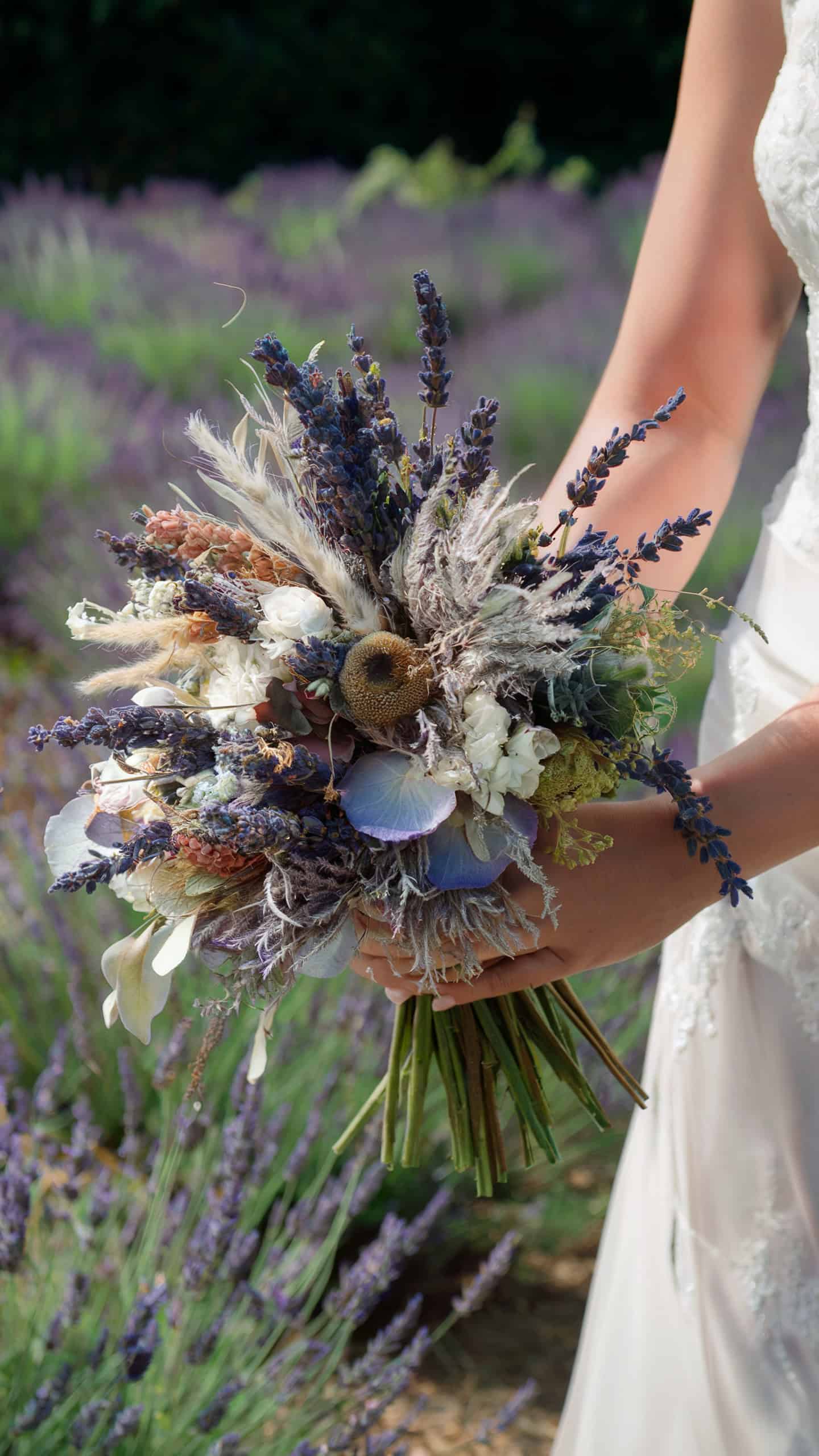 Lavender Fields