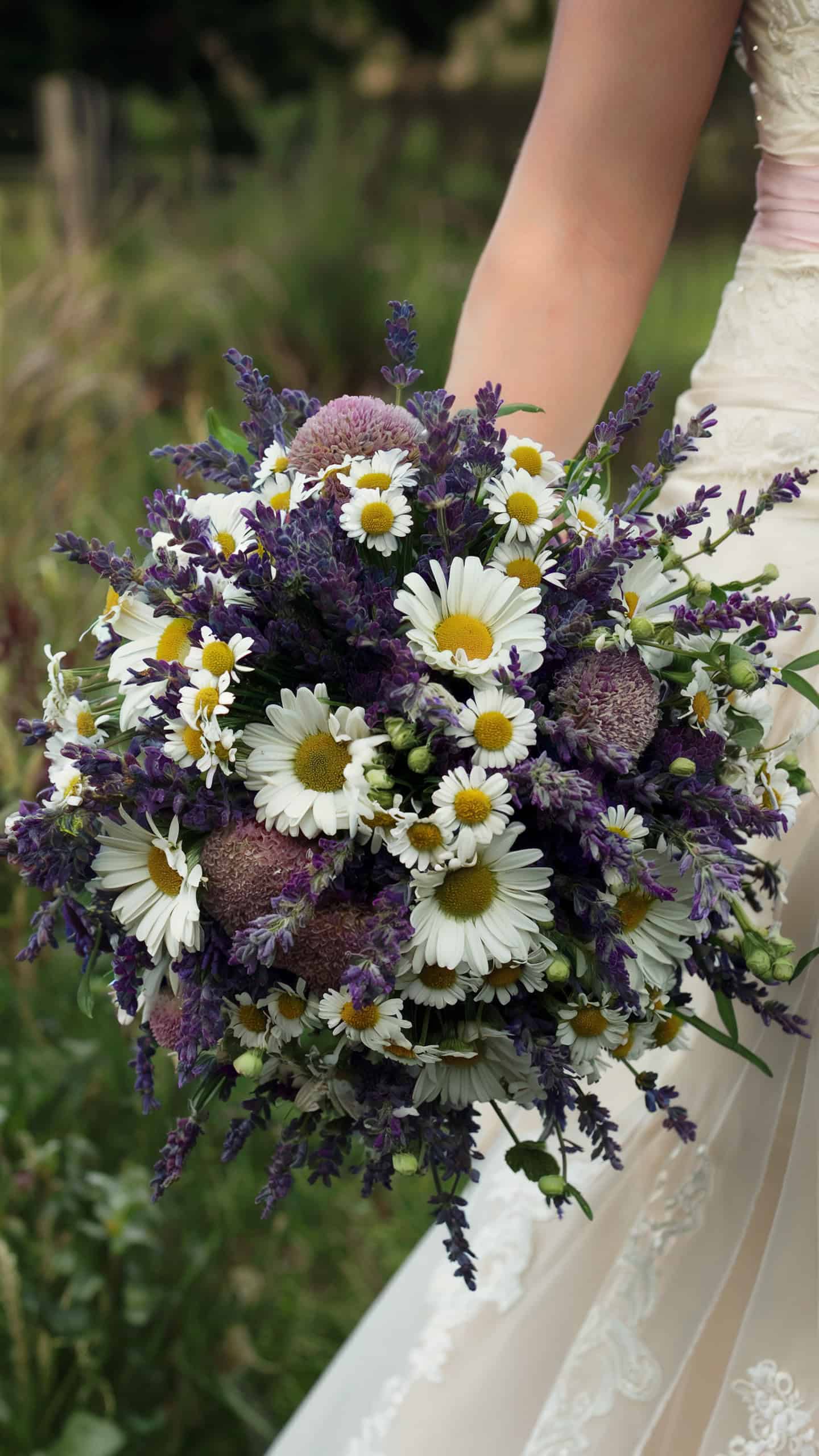 Lavender and Daisy Delight