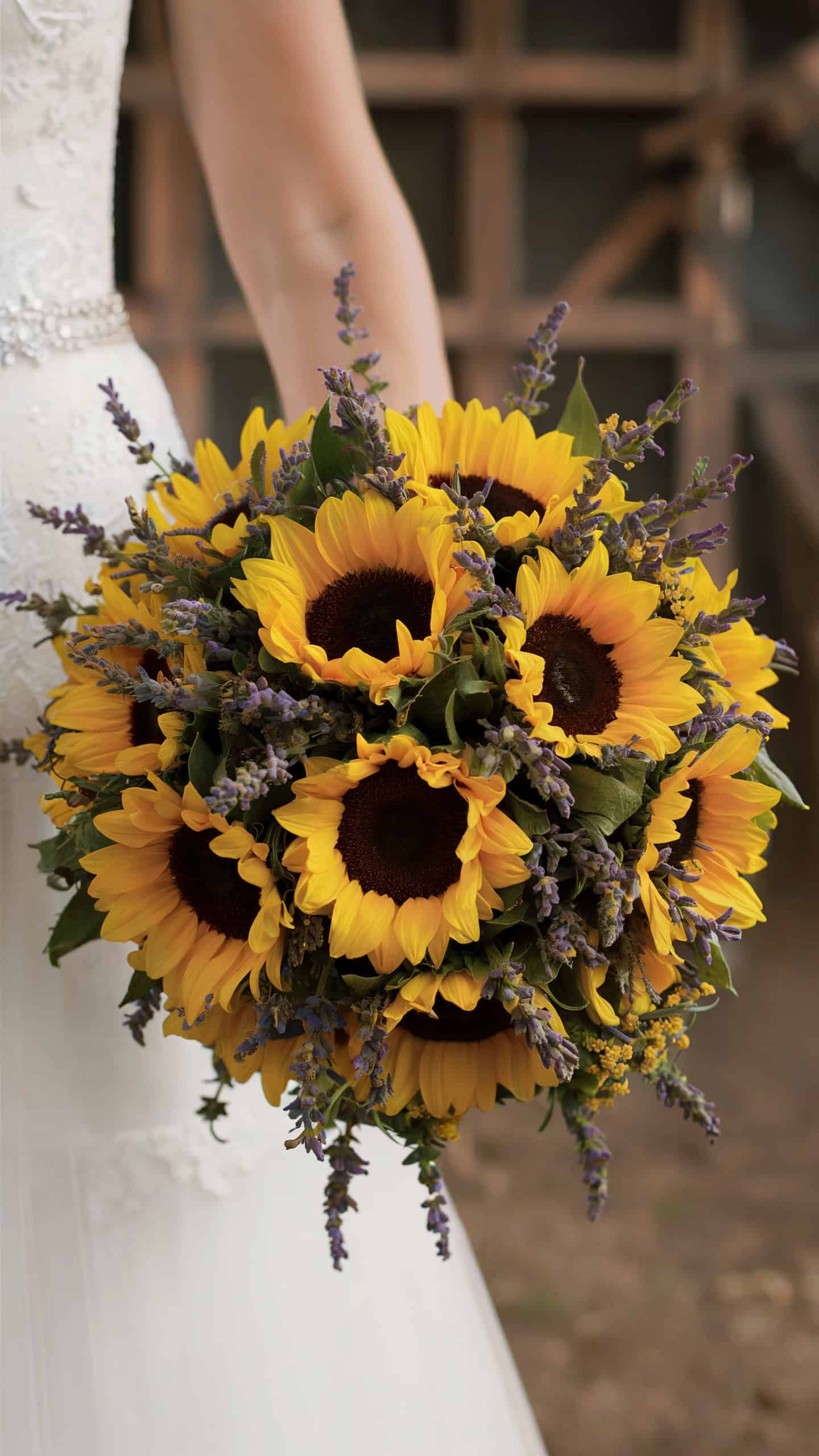 Lavender and Sunflower Combination