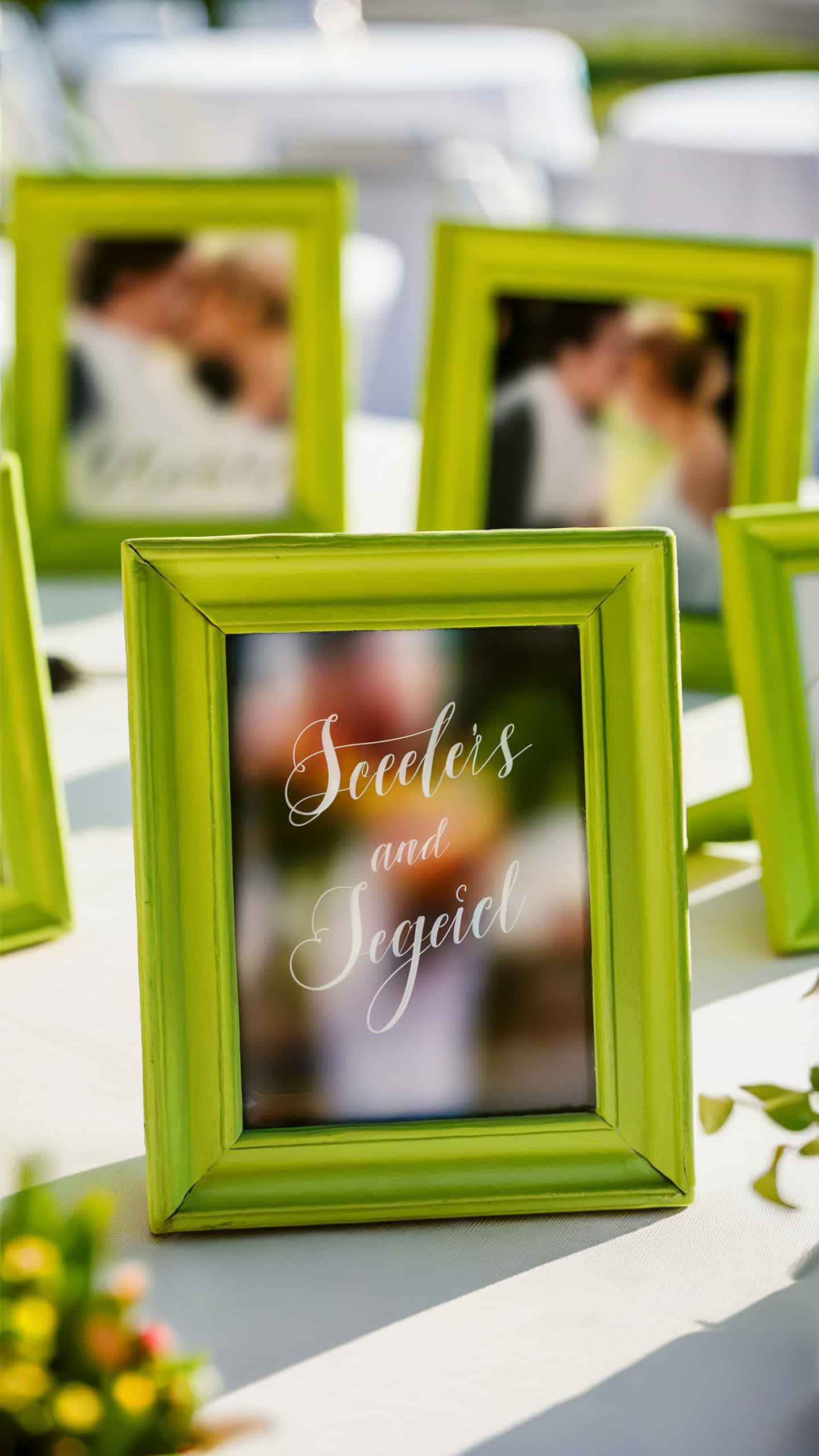 Lime Green Picture Frames
