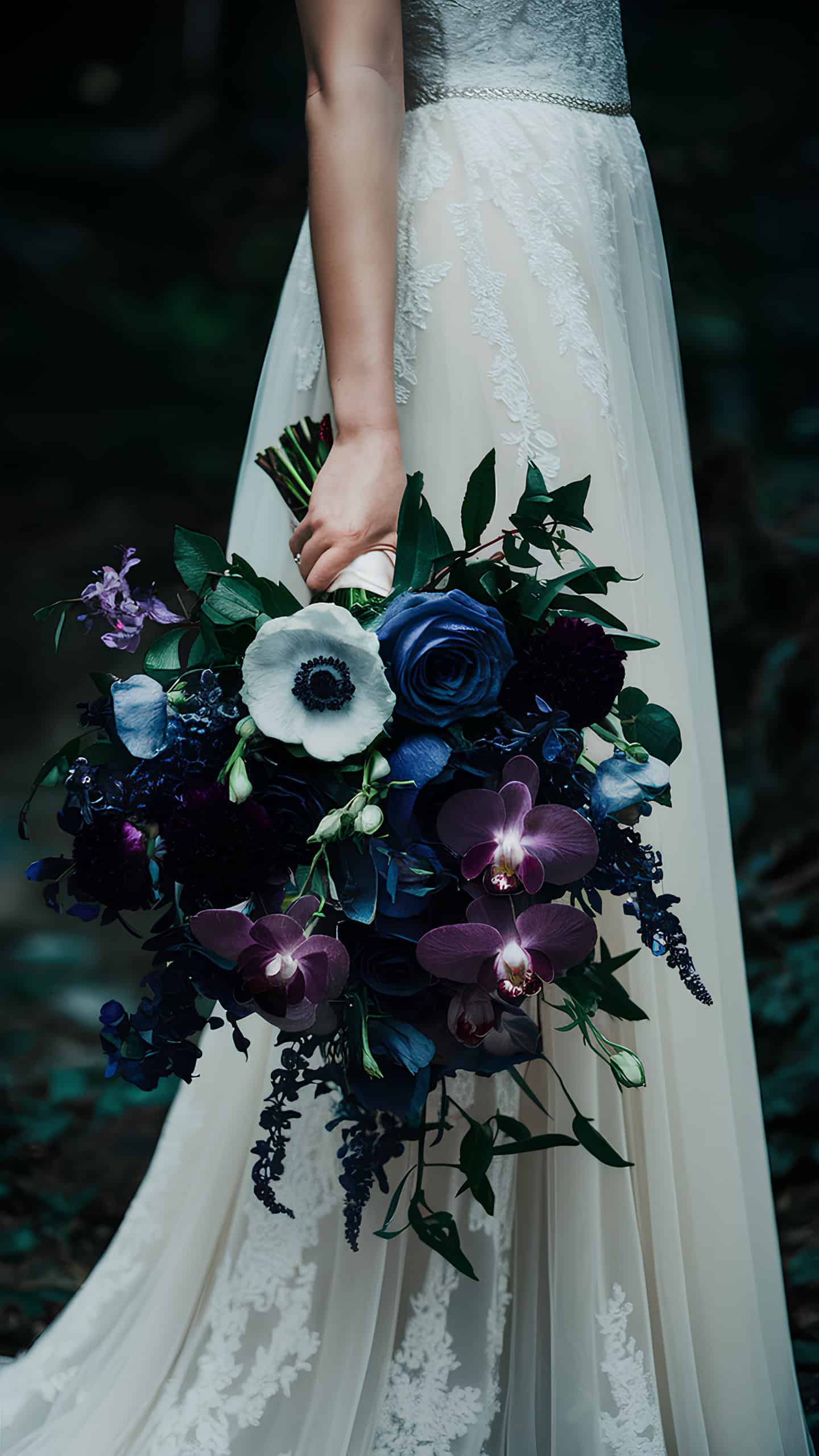Nocturnal Garden