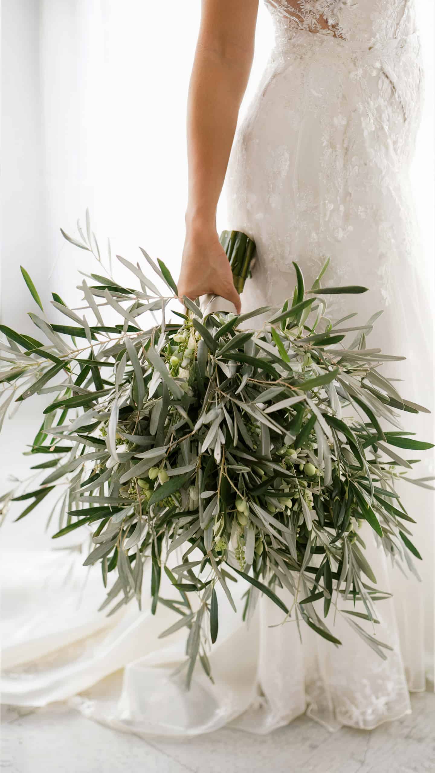 Olive Branches