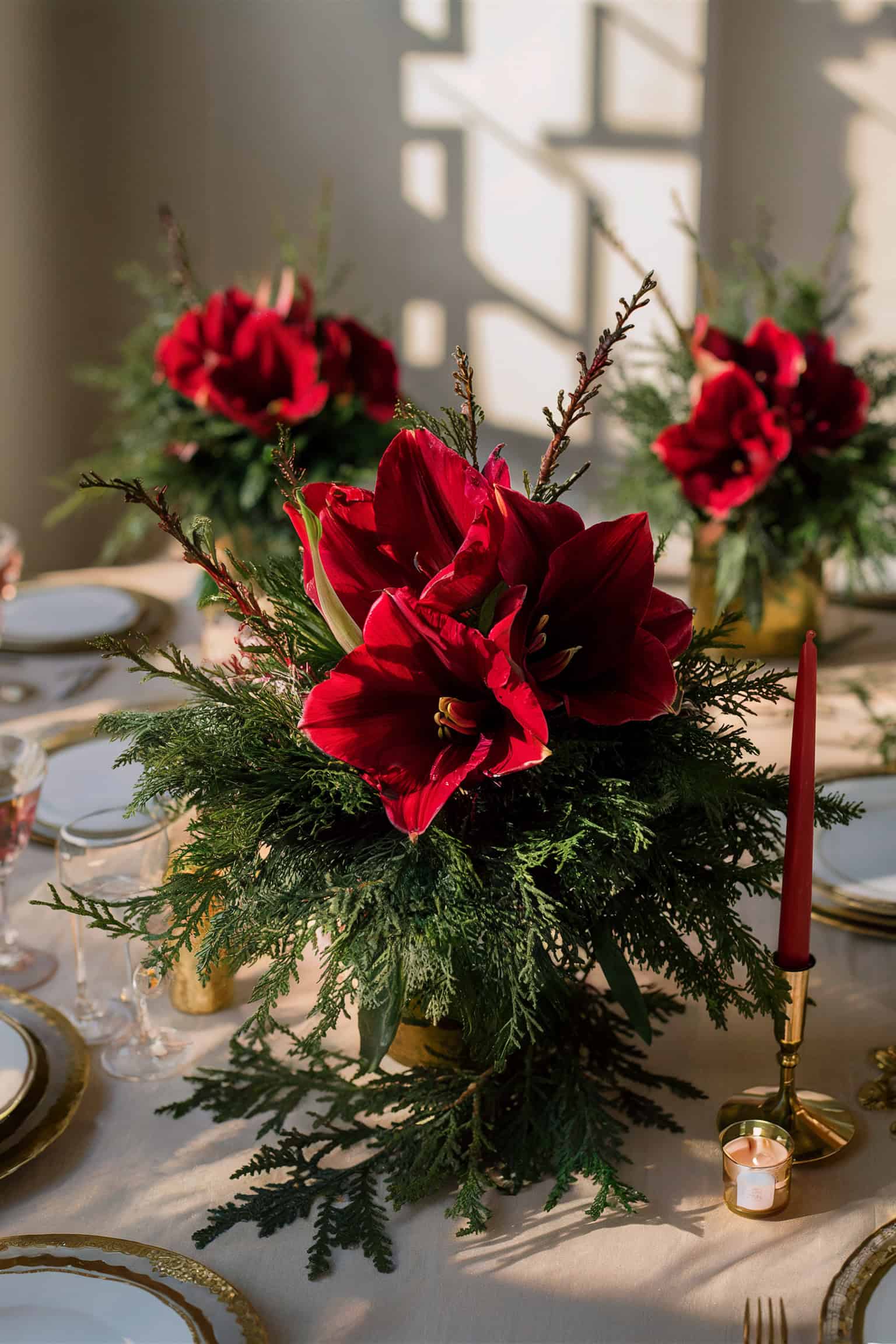Red Amaryllis and Evergreen Bouquets