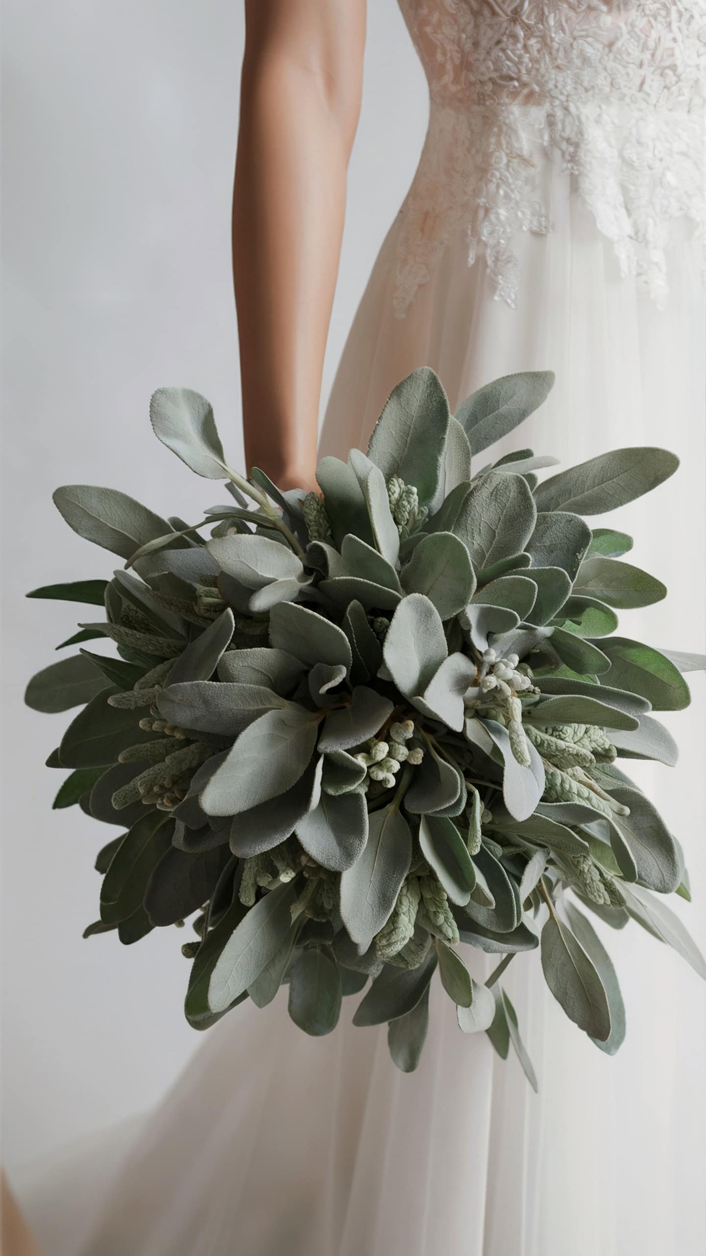 Sage Leaves