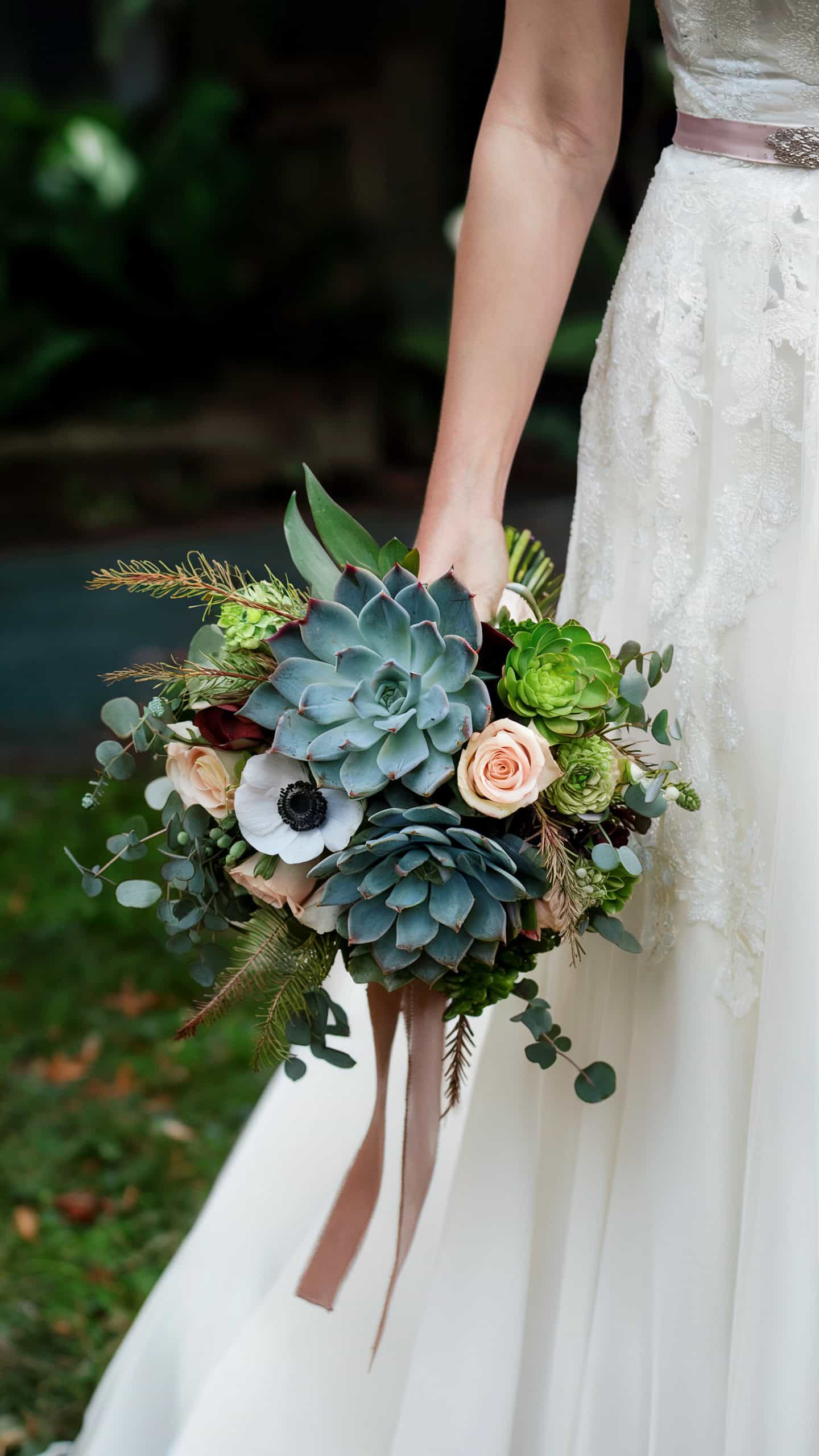 Succulent Accents