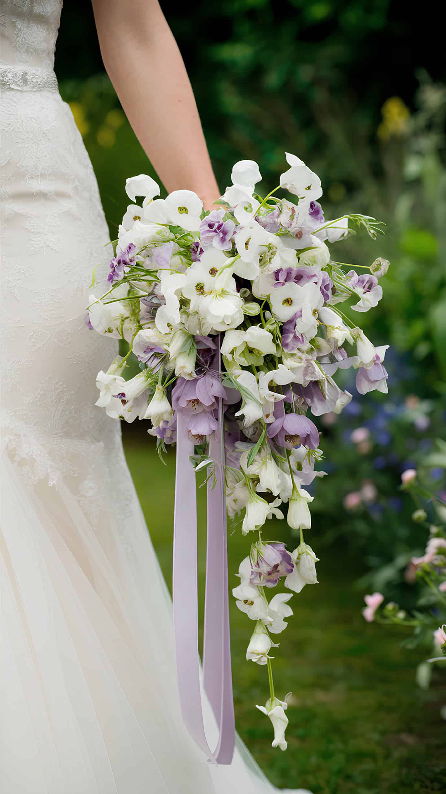 Sweet Pea Sophistication