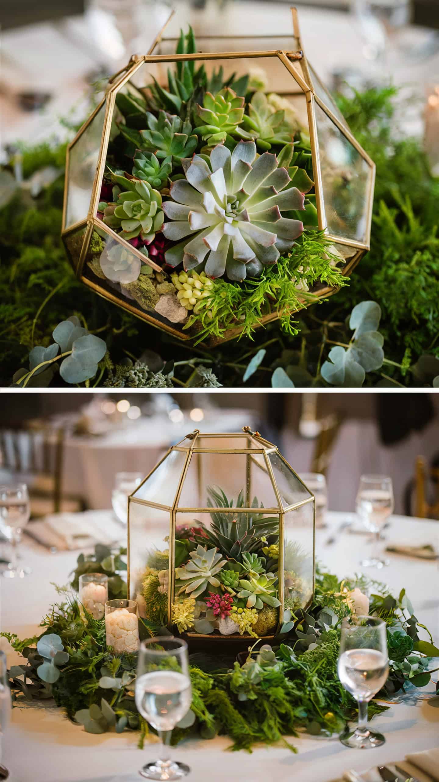 Terrarium Centerpieces