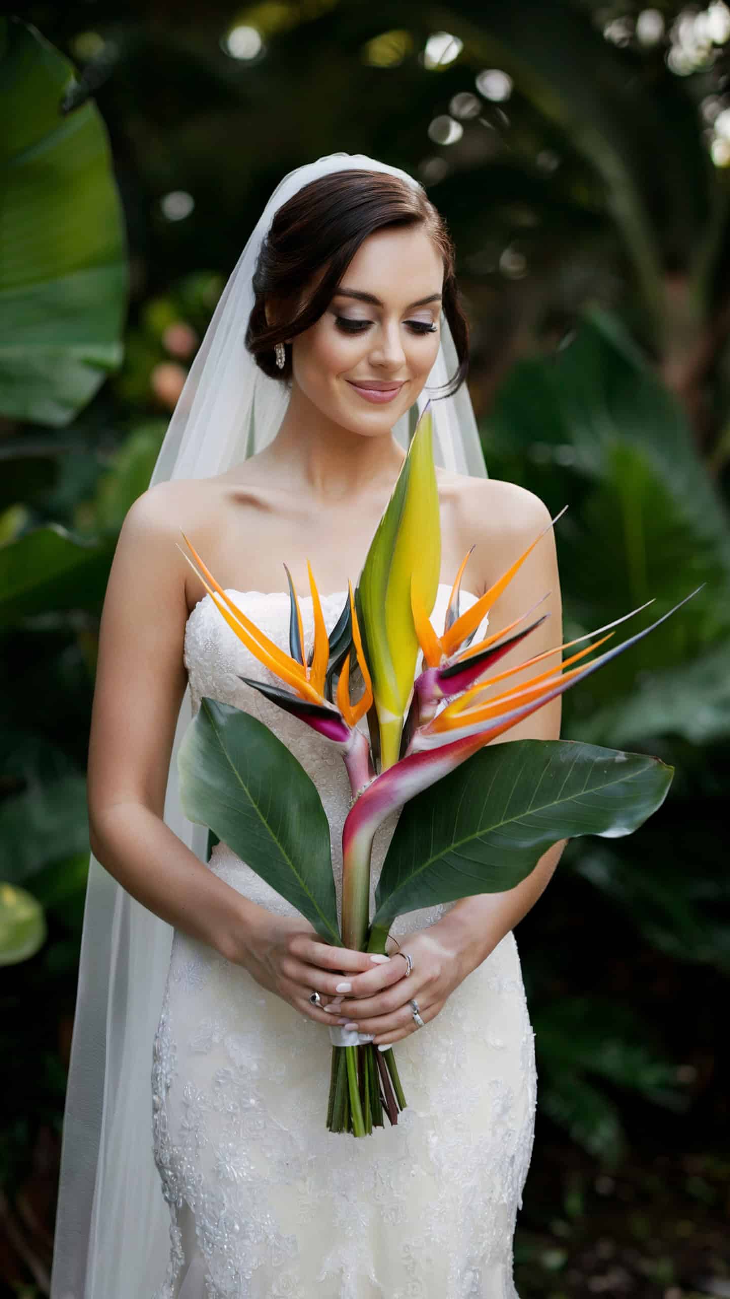 Tropical Bird of Paradise