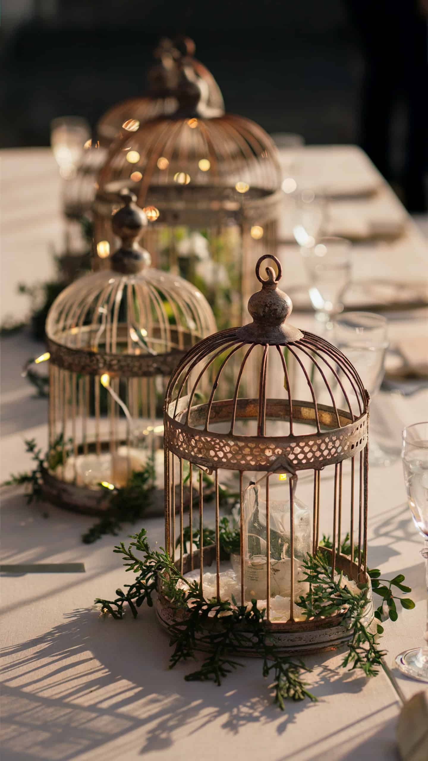 Vintage Birdcages