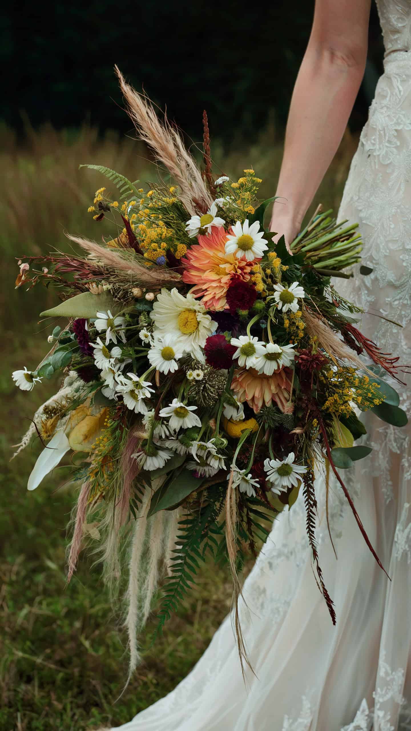 Wildflower Wonder