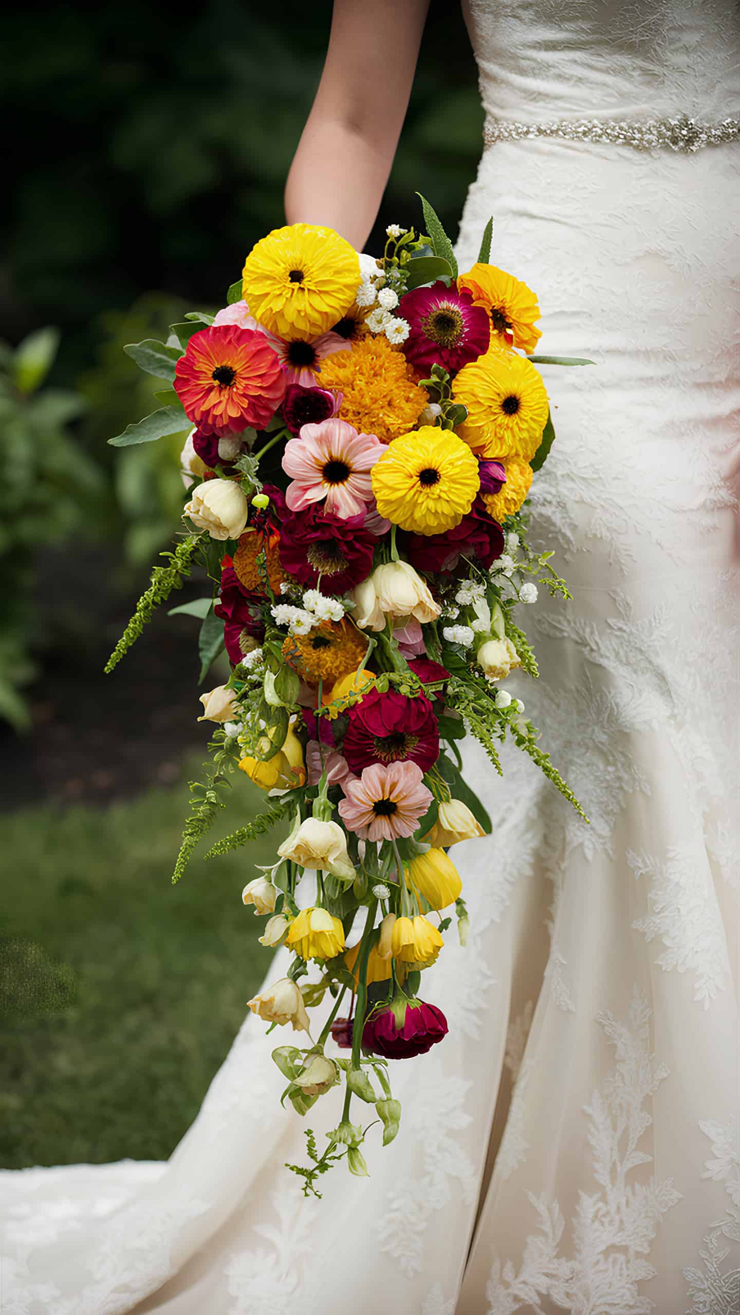 Zinnia and Veronica Cascade