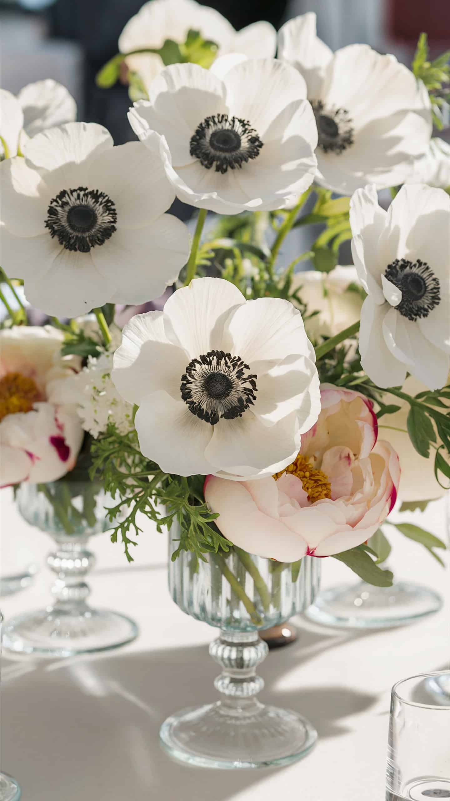 Anemones
