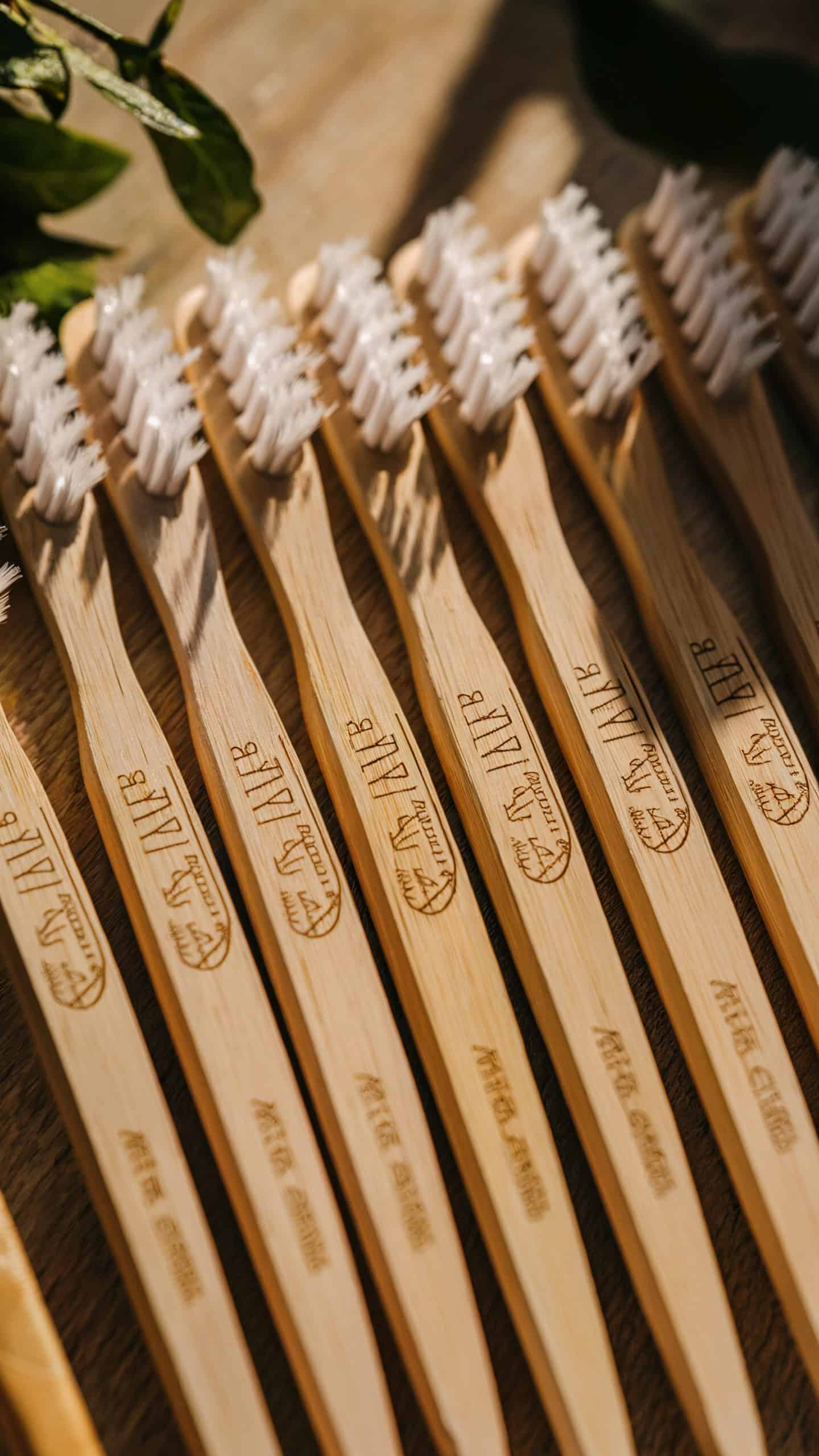 Bamboo Toothbrushes
