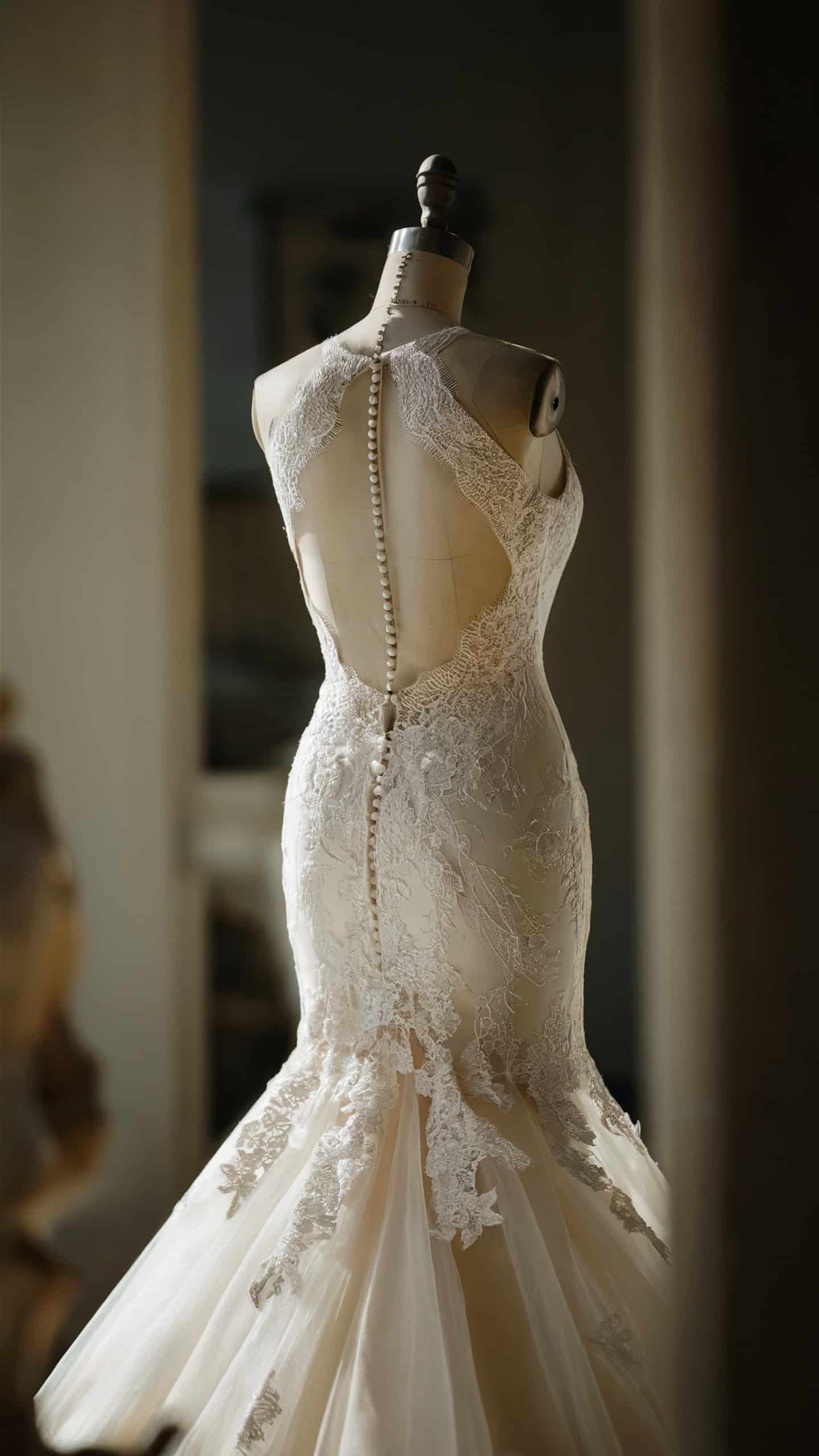 Illusion Back Mermaid Gown