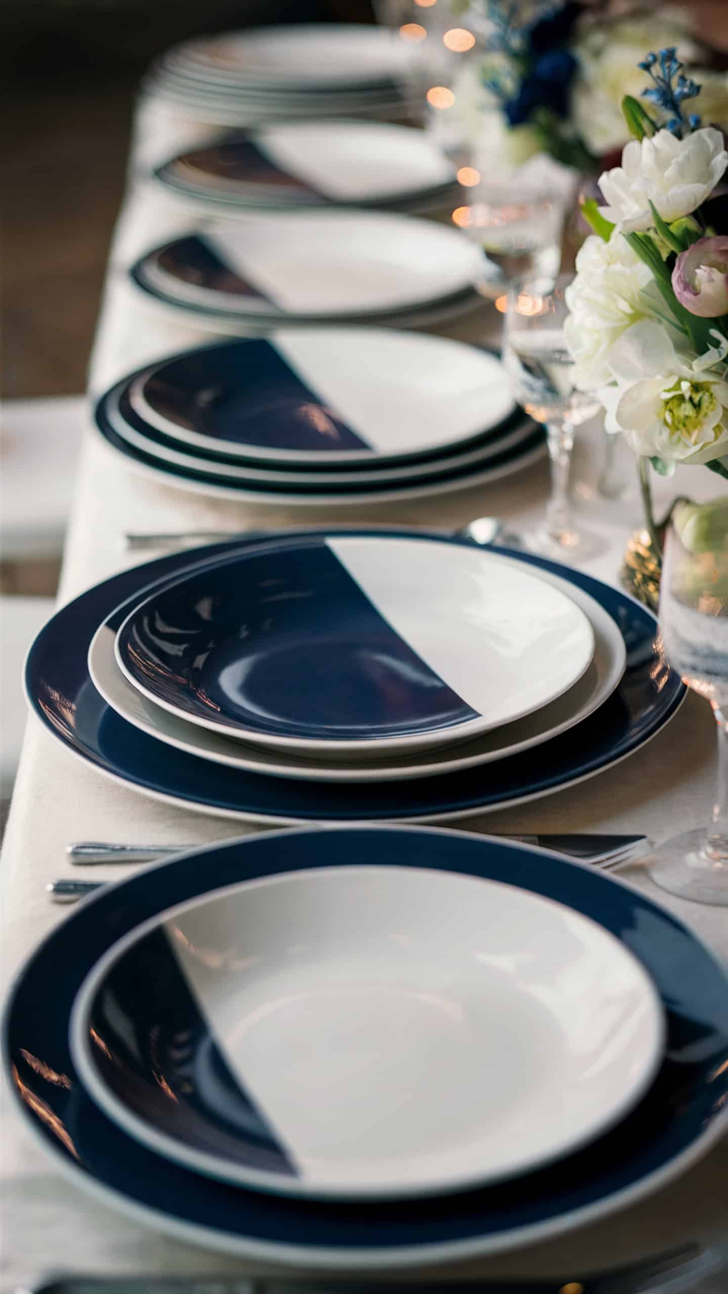 Navy and White Ceramic Plates