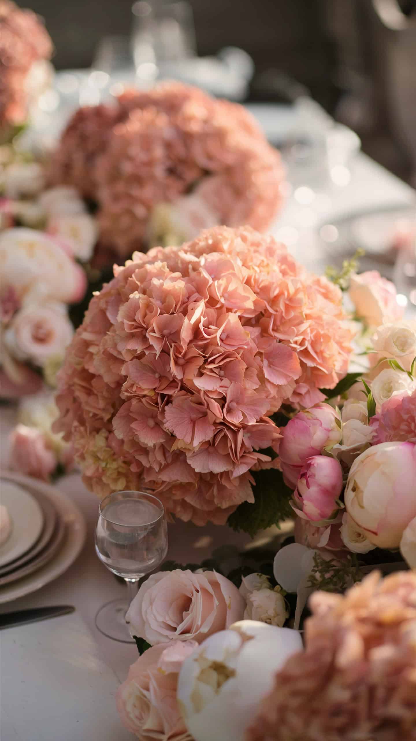 Peach Hydrangeas