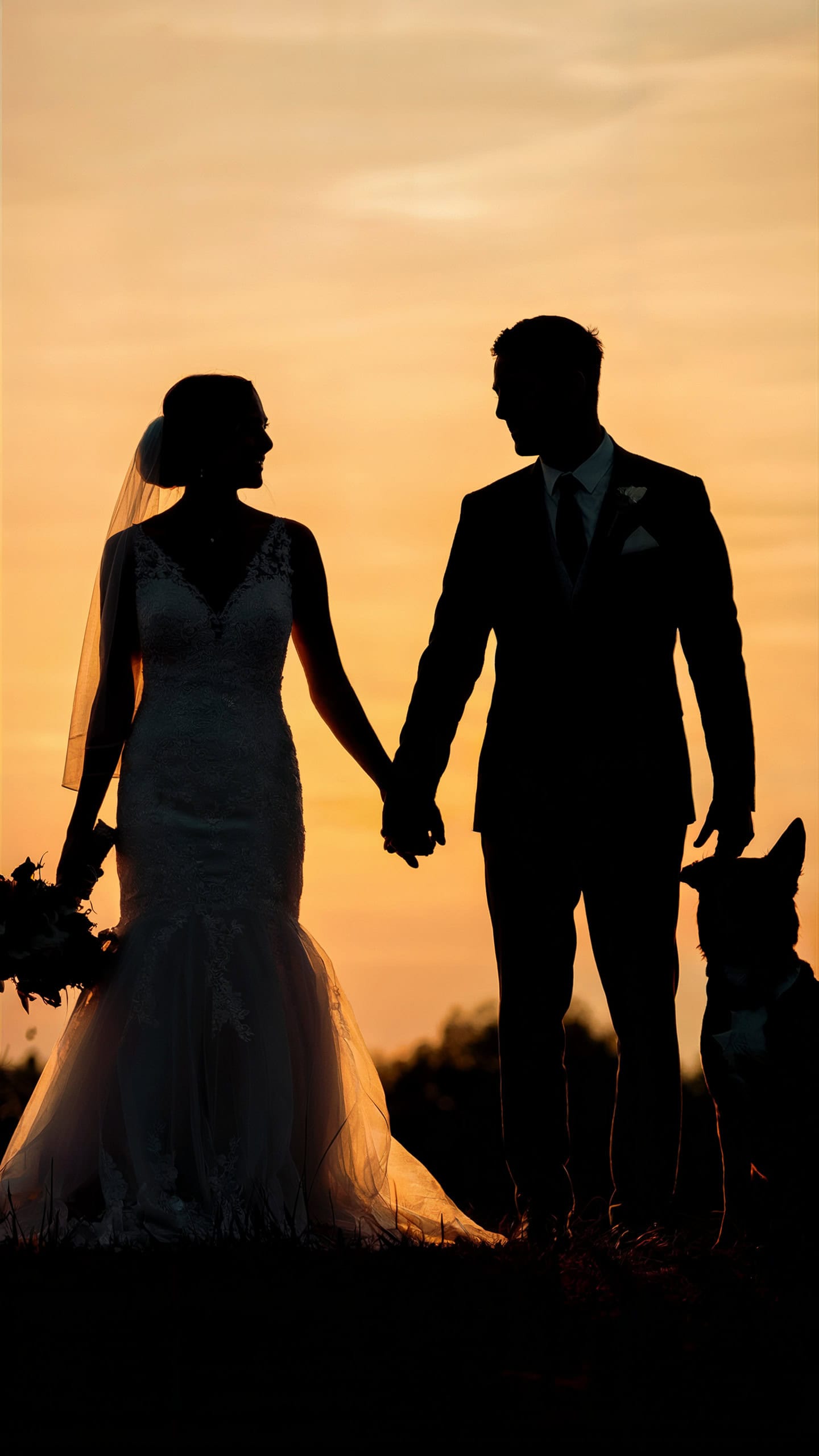 Sunset Silhouette
