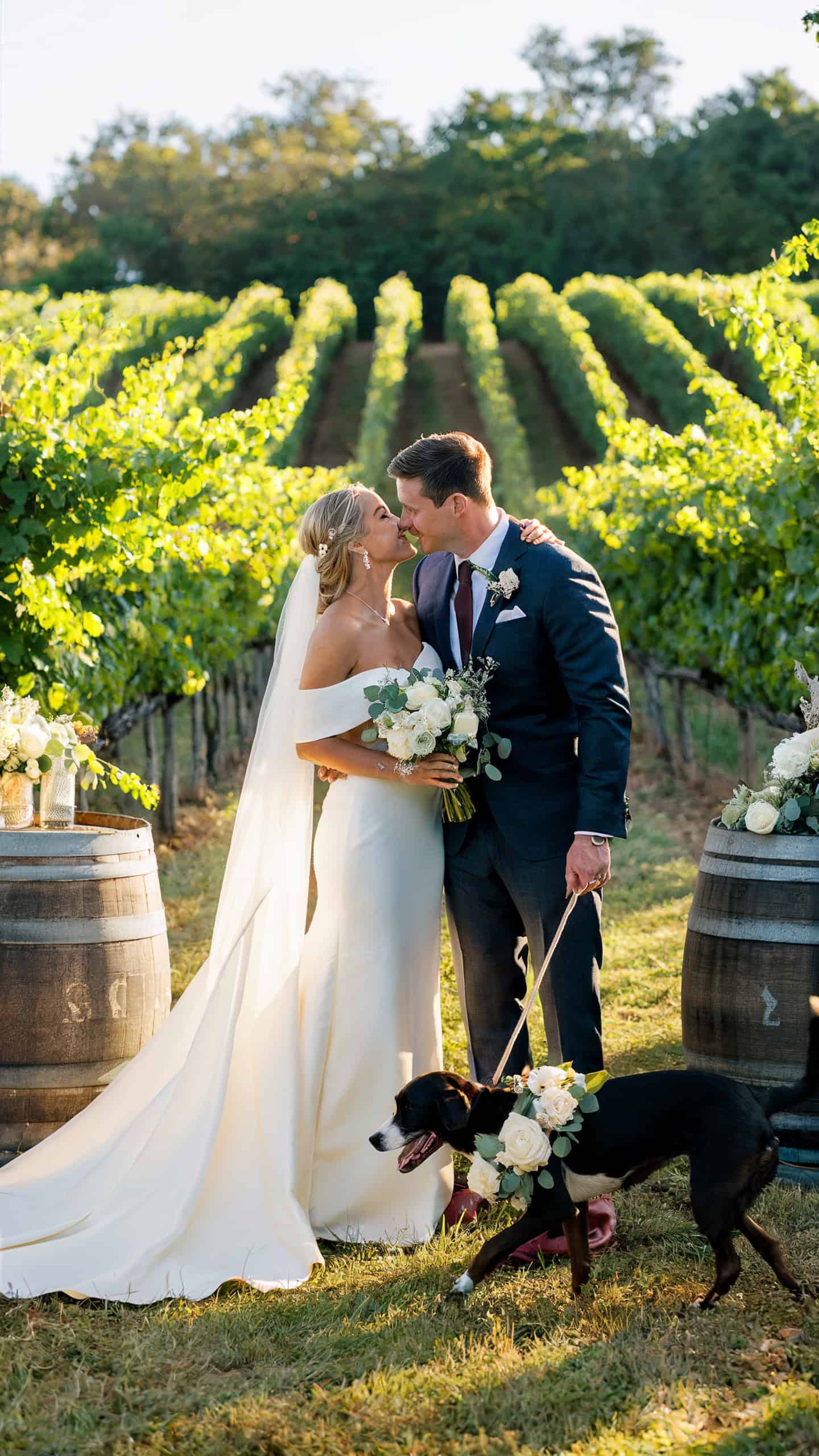 Vineyard Elegance