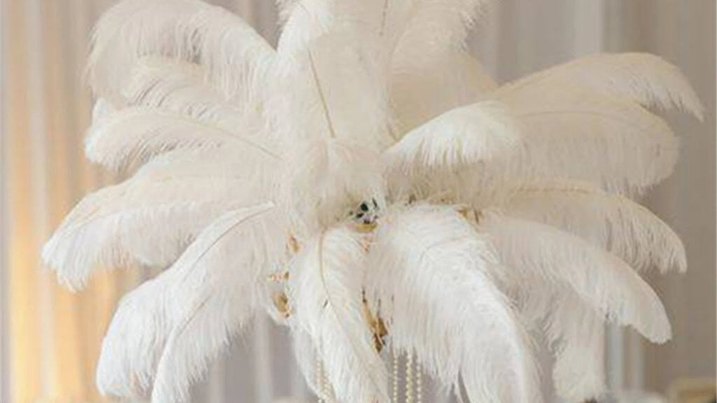 White Ostrich Feathers 20-22 Inch
