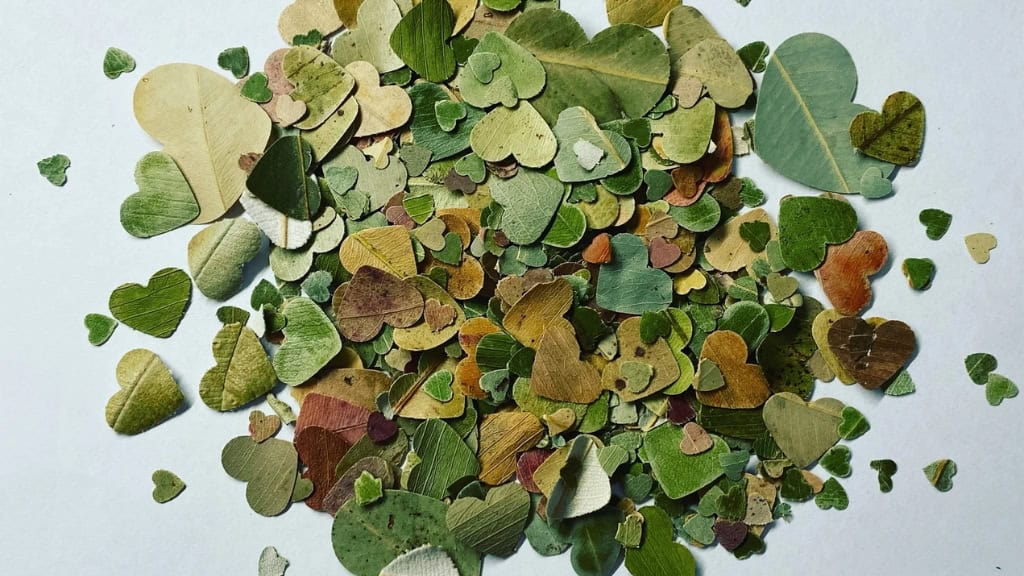 Bulk Natural Biodegradable Heart Confetti