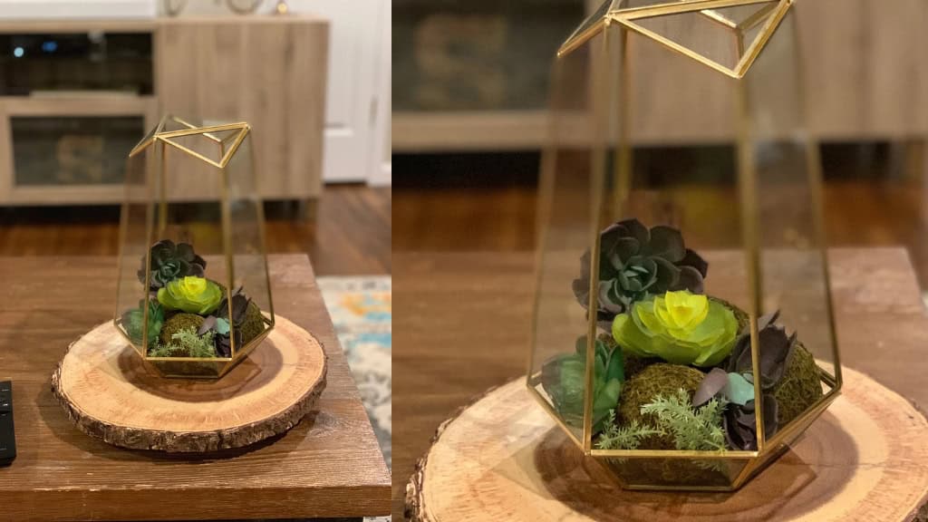 Flora Geometric Glass Terrarium