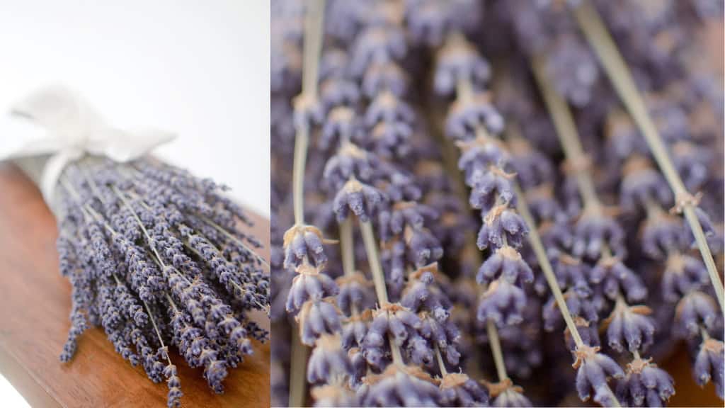 Fragrant Dried English Lavender Bouquet
