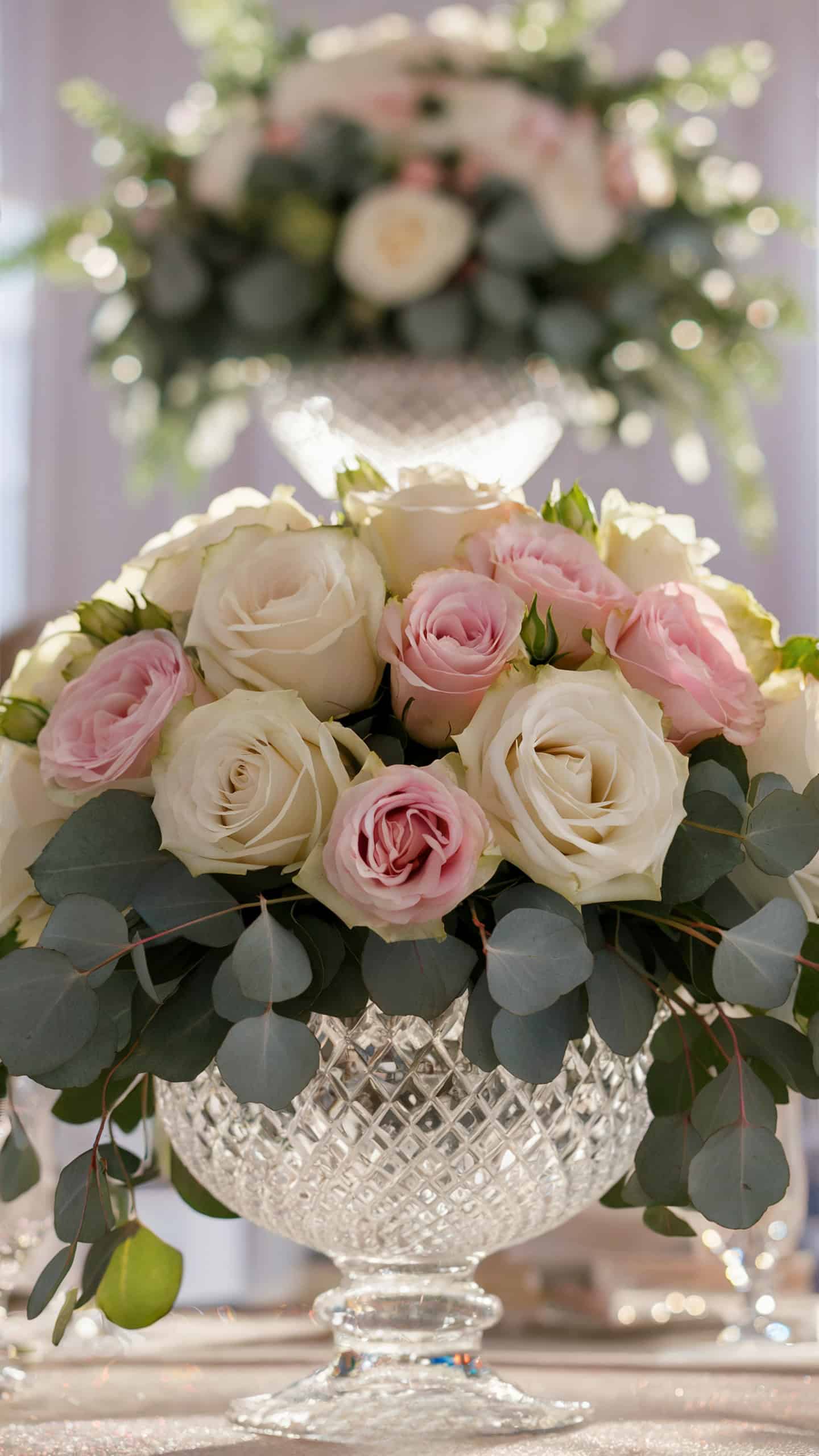 Garden Roses