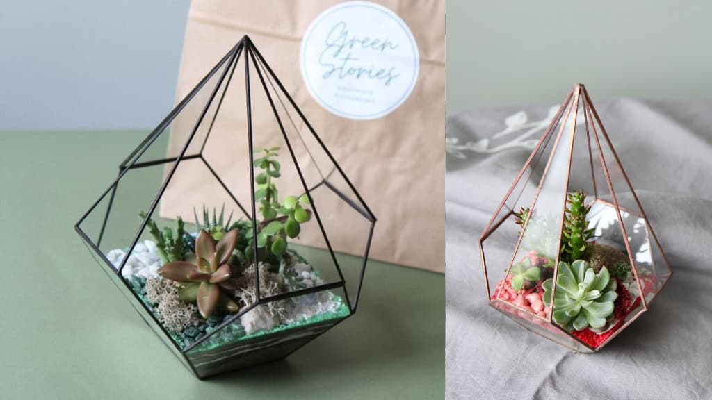 Mercury Geometric Glass Terrarium