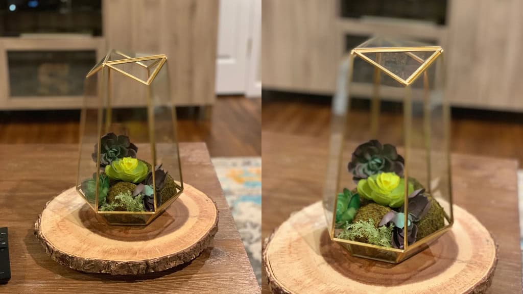 Geometric Glass Terrarium Planter Set