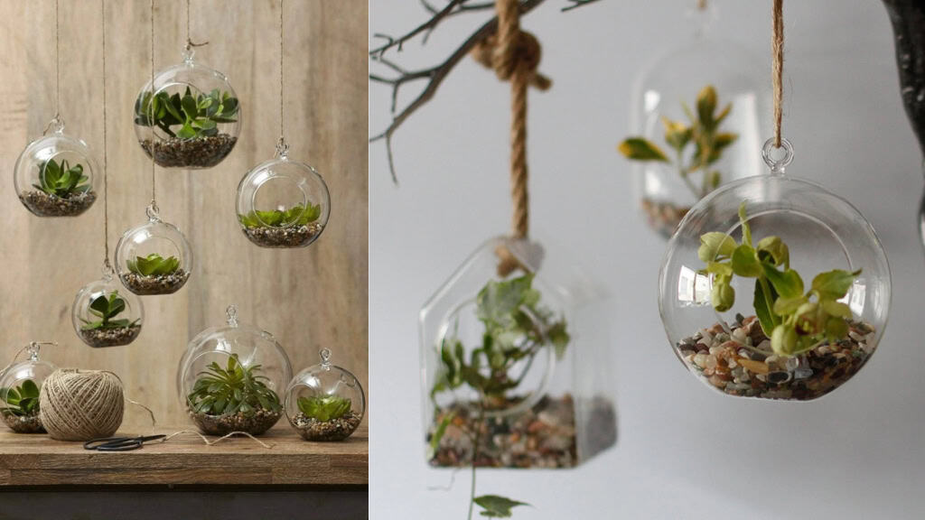 Handcrafted Glass Terrarium Globe Bowl