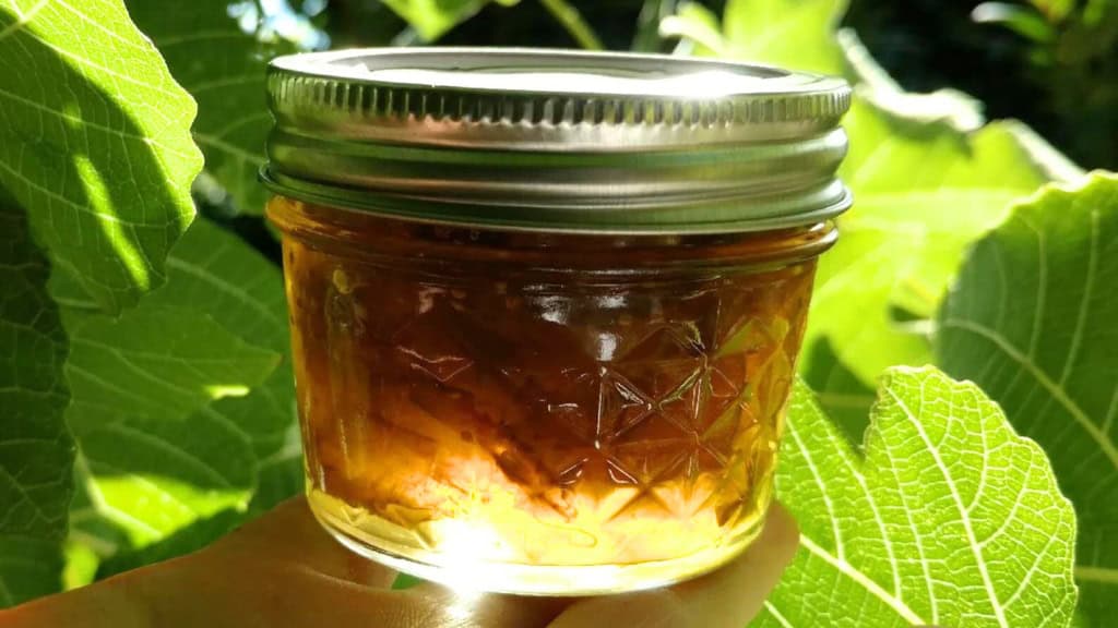 Honey Fig Jam 4oz Jar