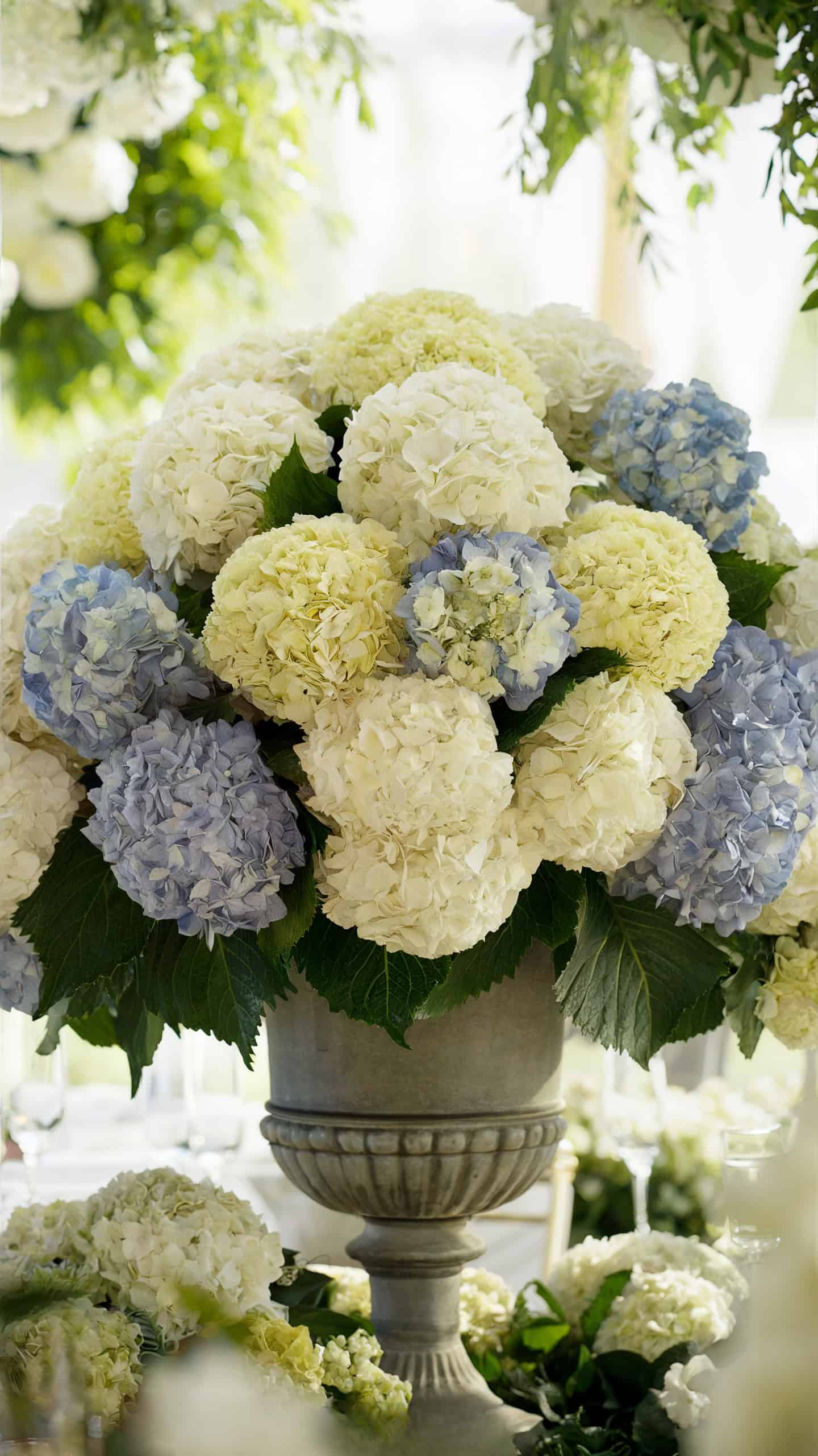 Hydrangeas centerpieces