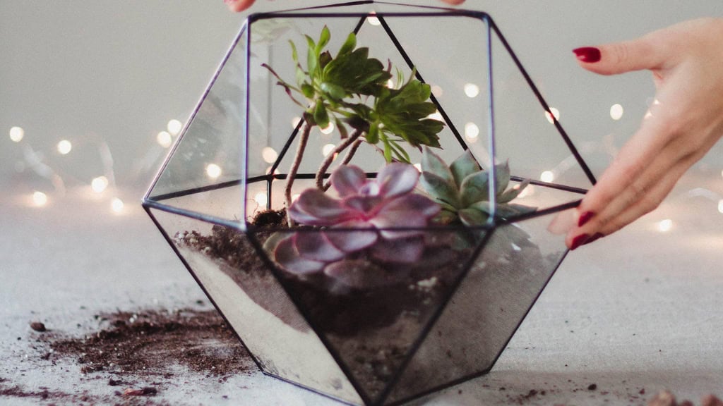 Large Geometric Glass Terrarium