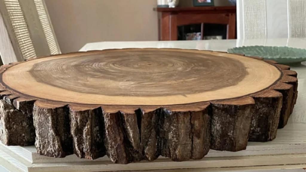 Log Slice Slab with Legs