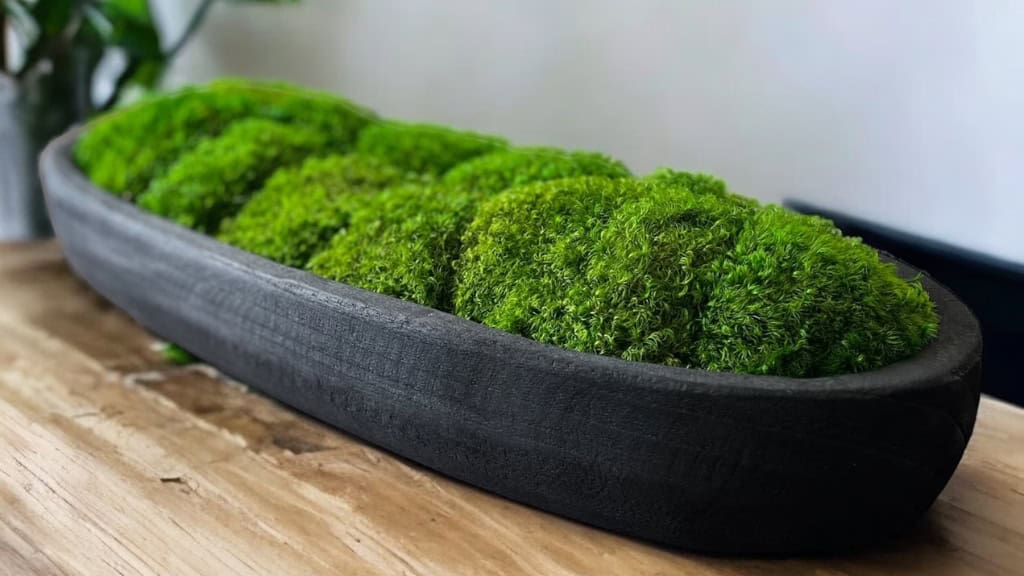 Moss Bowl Centerpiece