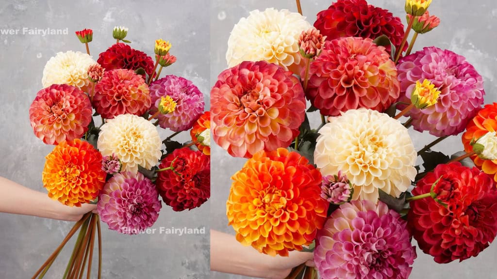 Realistic Palmares Dahlia Stem
