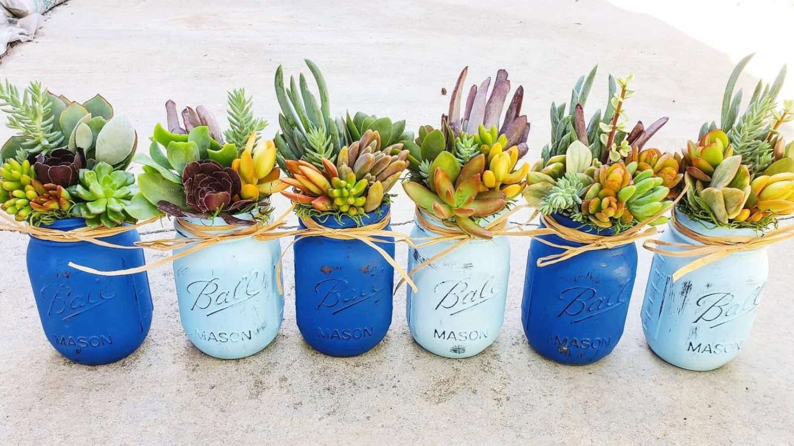 Rustic Customizable Mason Jar Succulent
