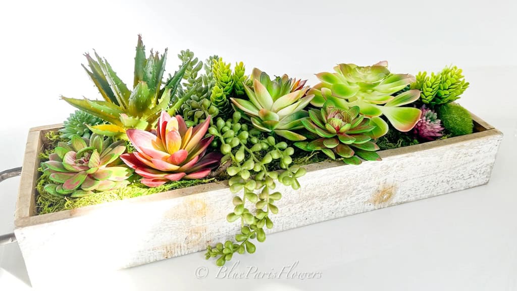 Succulent Centerpiece with Wooden Base