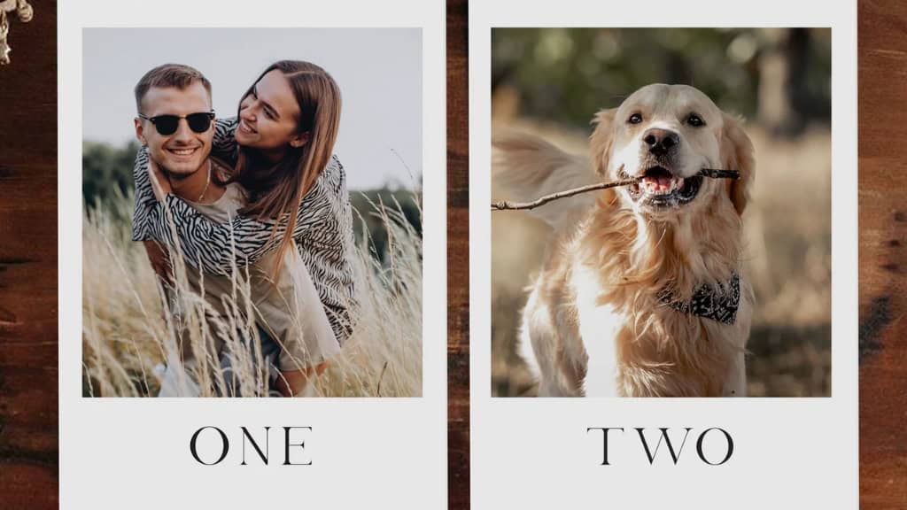 Custom Polaroid-Style Wedding Table Numbers